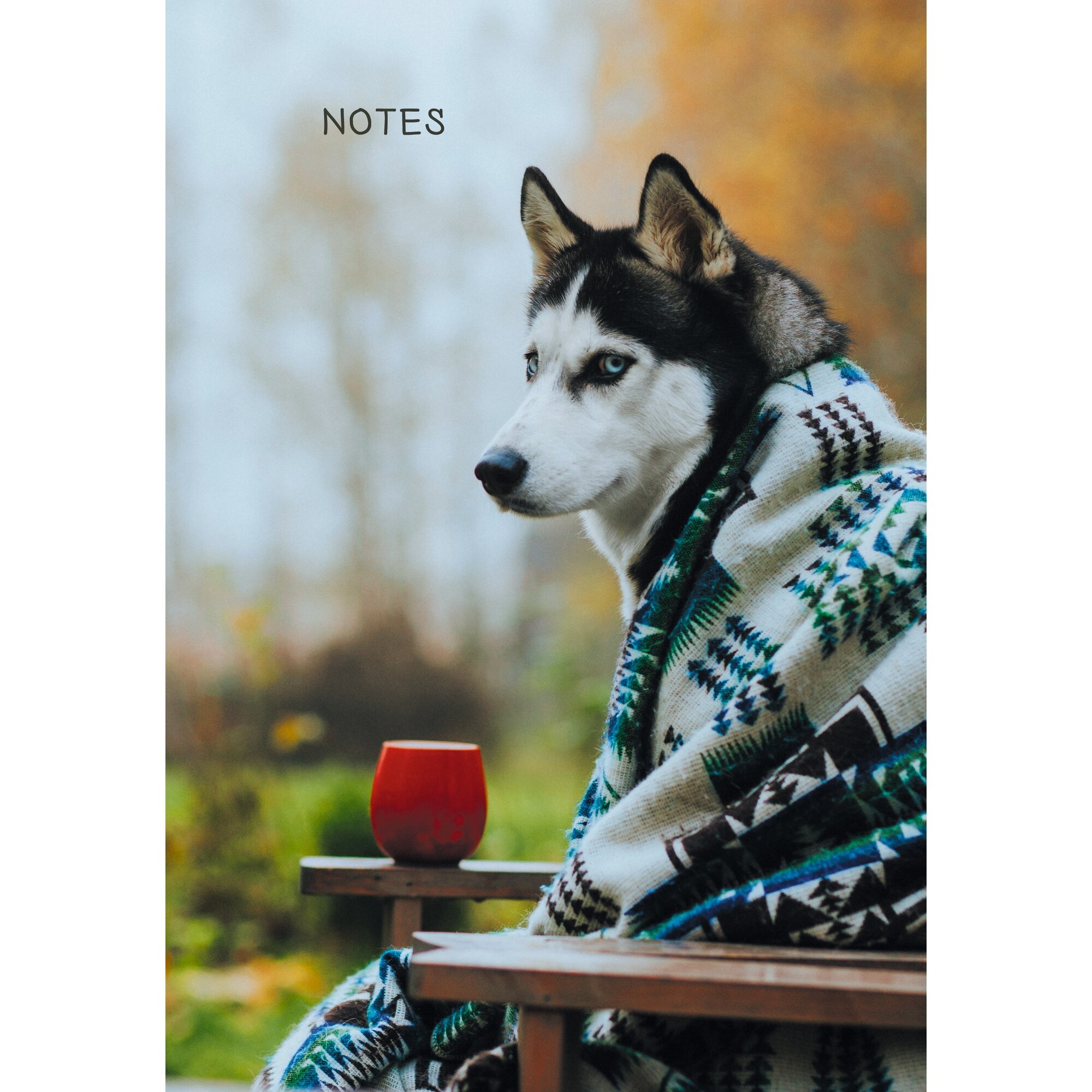 Осенний друг – КЗ51003499 Осенний друг – КЗ51003499