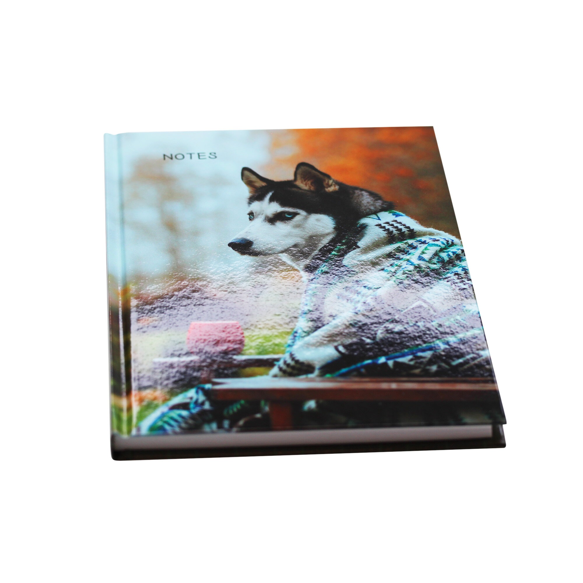 Осенний друг – КЗ51003499 Осенний друг – КЗ51003499