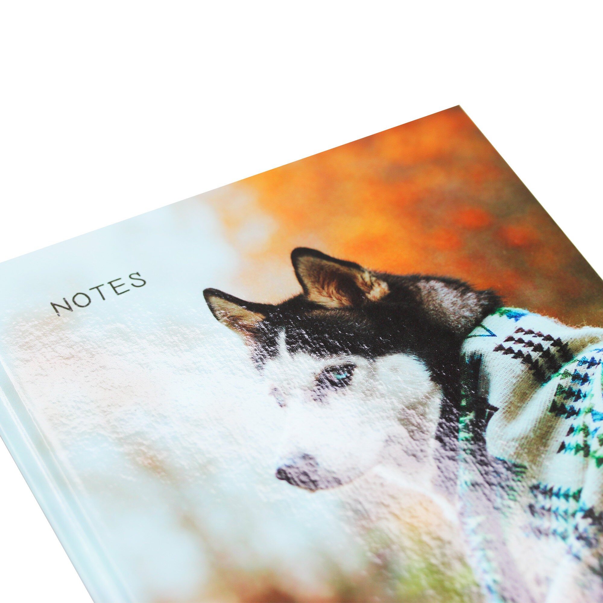 Осенний друг – КЗ51003499 Осенний друг – КЗ51003499