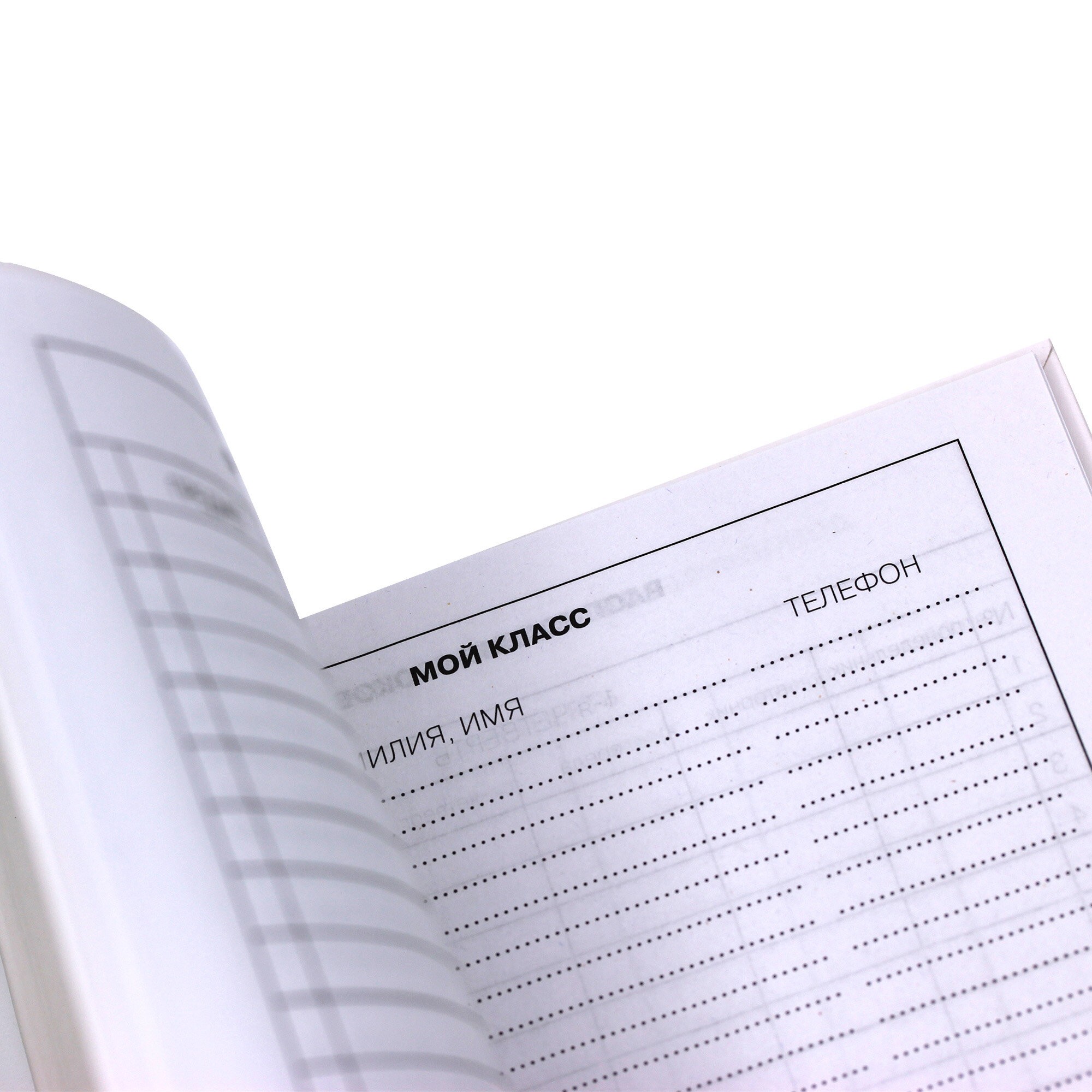 Классический дневник – ДИУ224804 Классический дневник – ДИУ224804