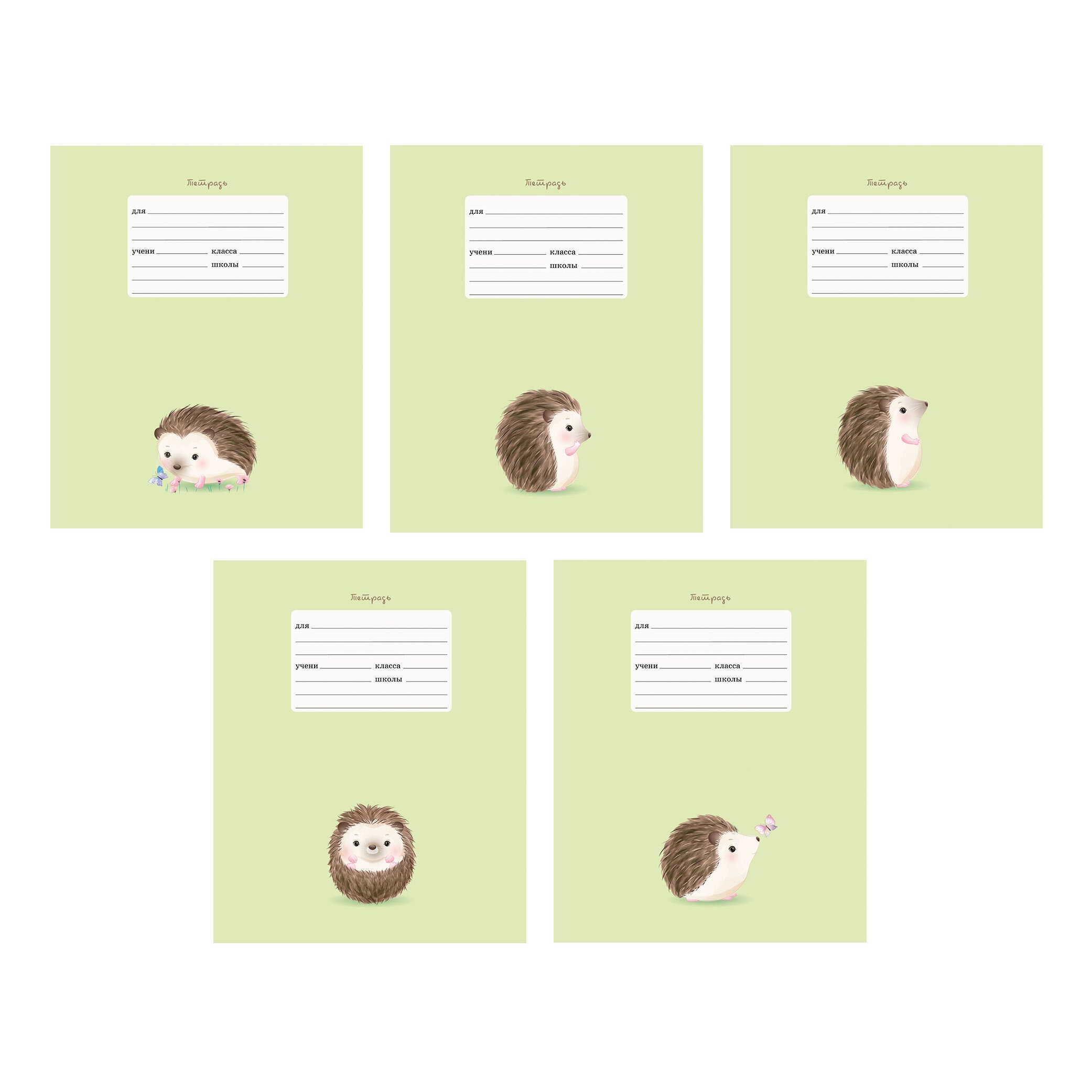 Очаровательный ежик – ТЛЛ127570 Очаровательный ежик – ТЛЛ127570