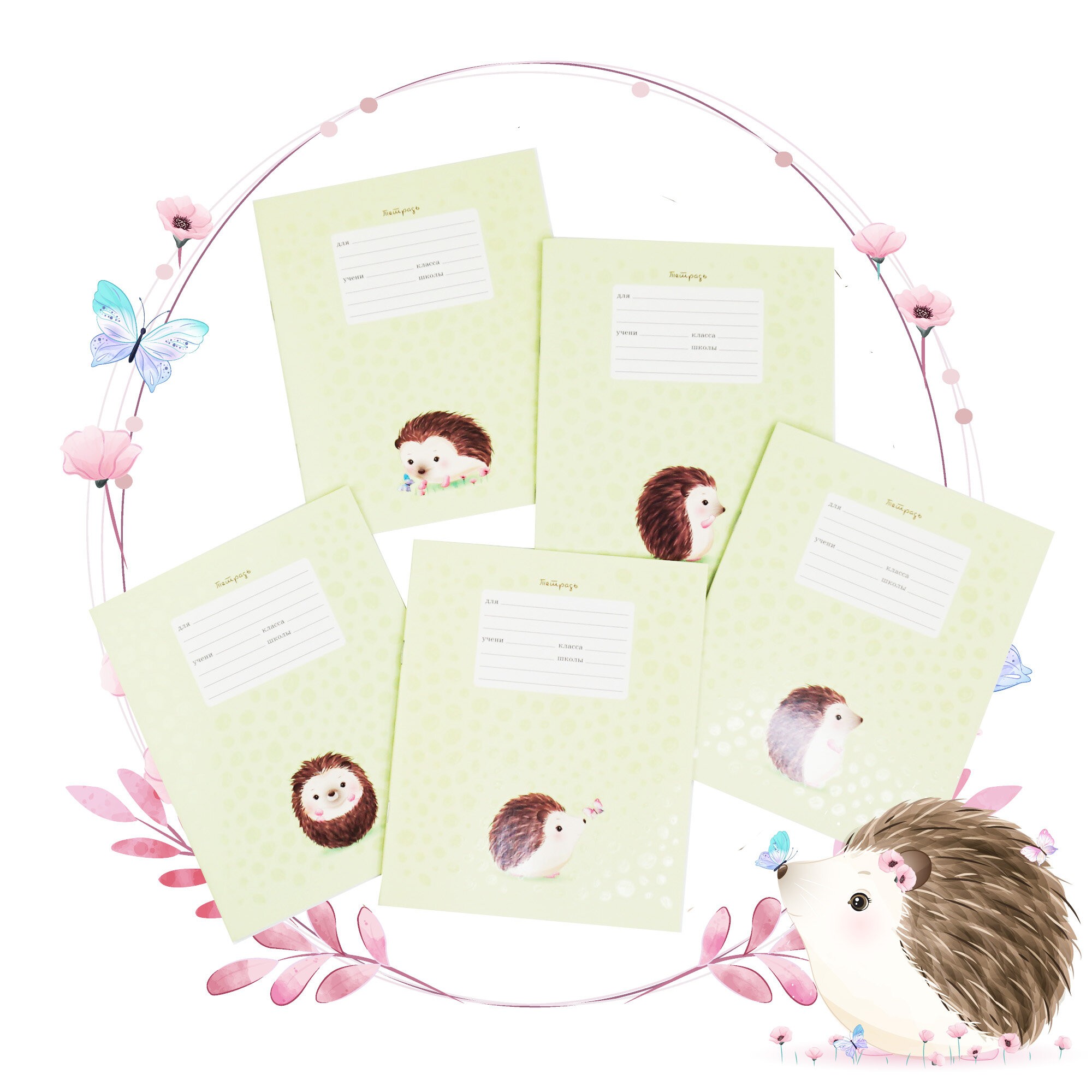 Очаровательный ежик – ТЛЛ127570 Очаровательный ежик – ТЛЛ127570