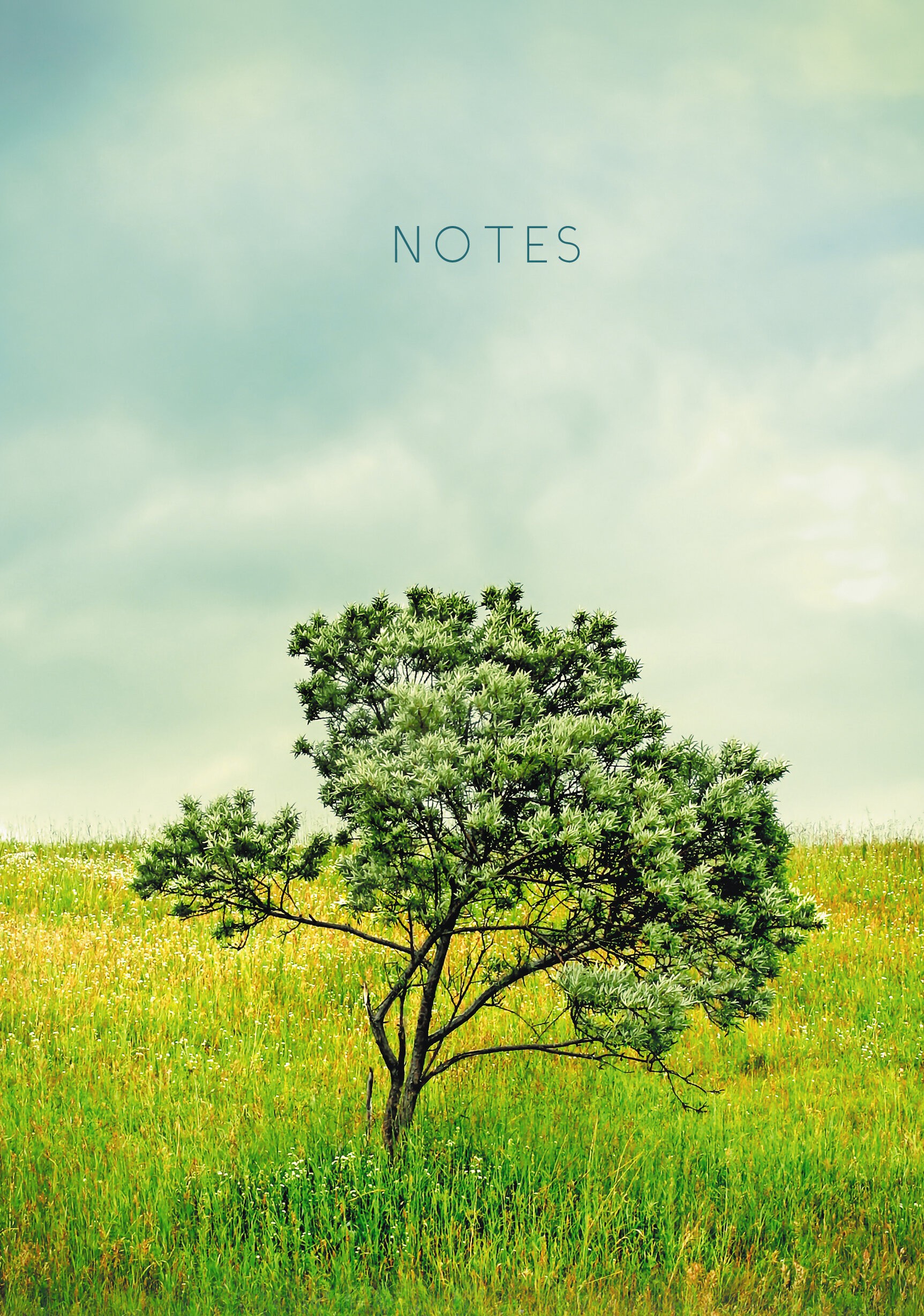 Пейзаж – КЗЛ51603695 Пейзаж – КЗЛ51603695