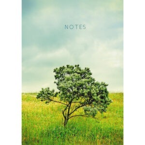 Главная страница