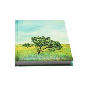 Главная страница