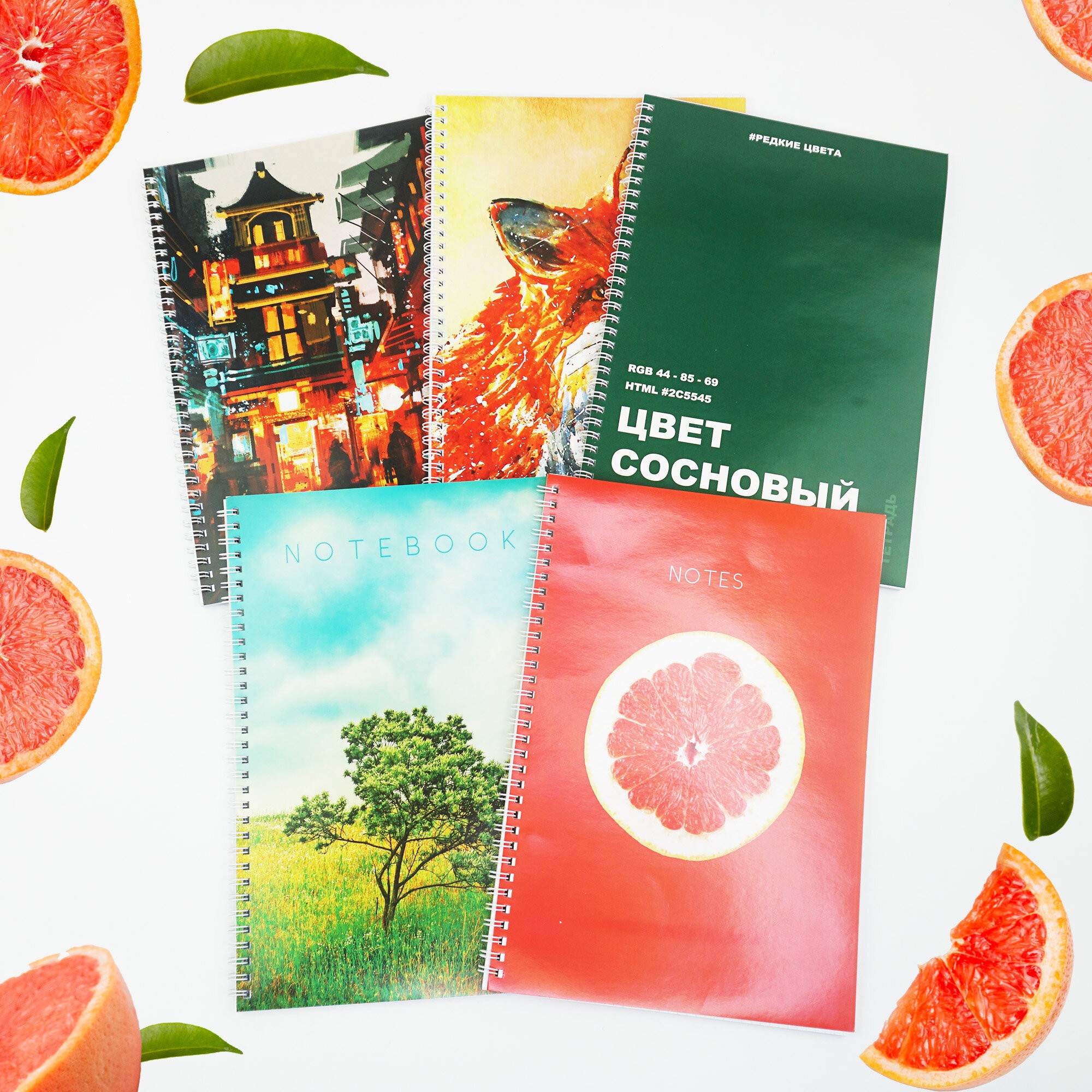 Little fox – ТС4604933 Little fox – ТС4604933