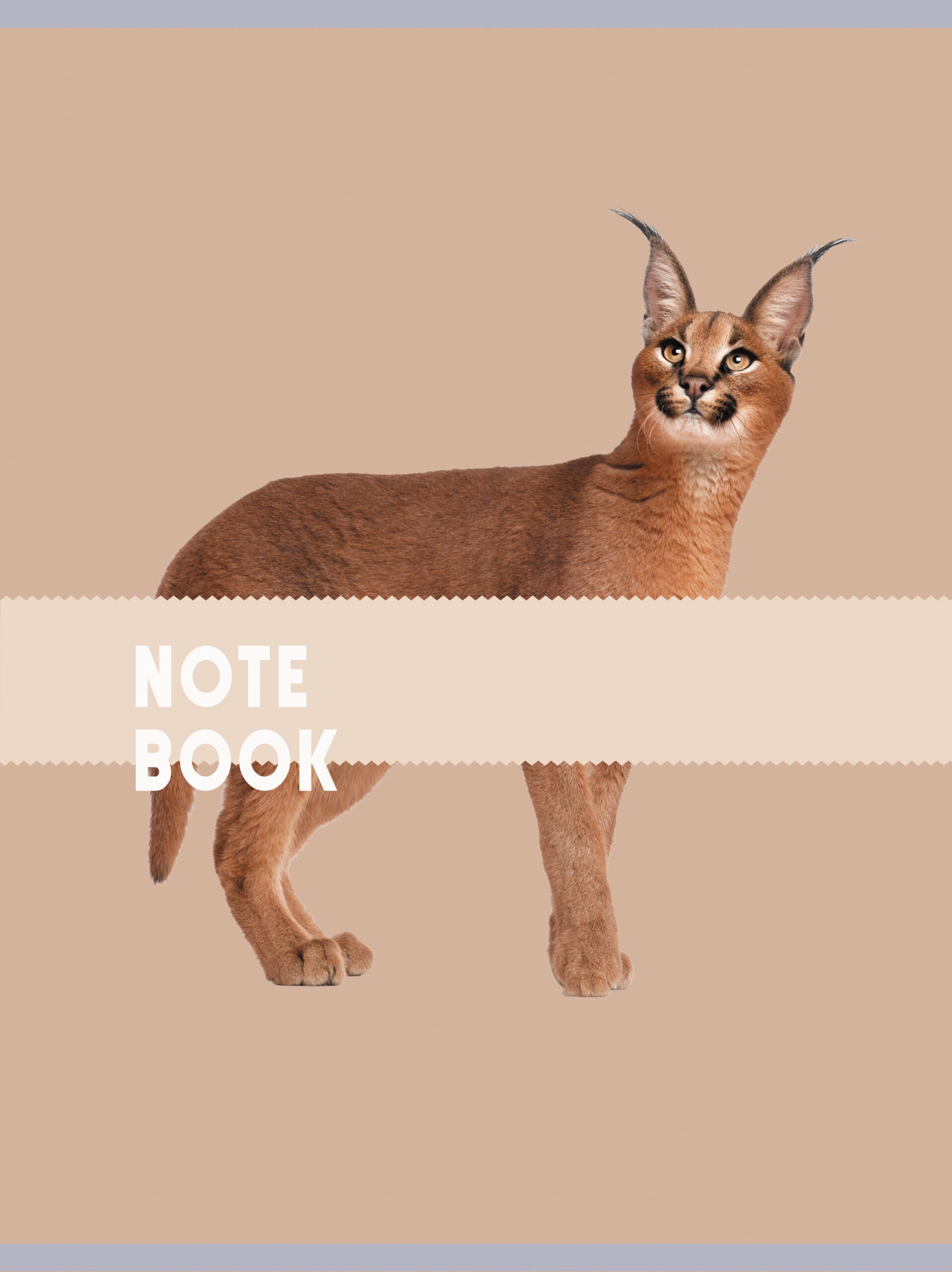 Чудесный кот – Т4804973 Чудесный кот – Т4804973