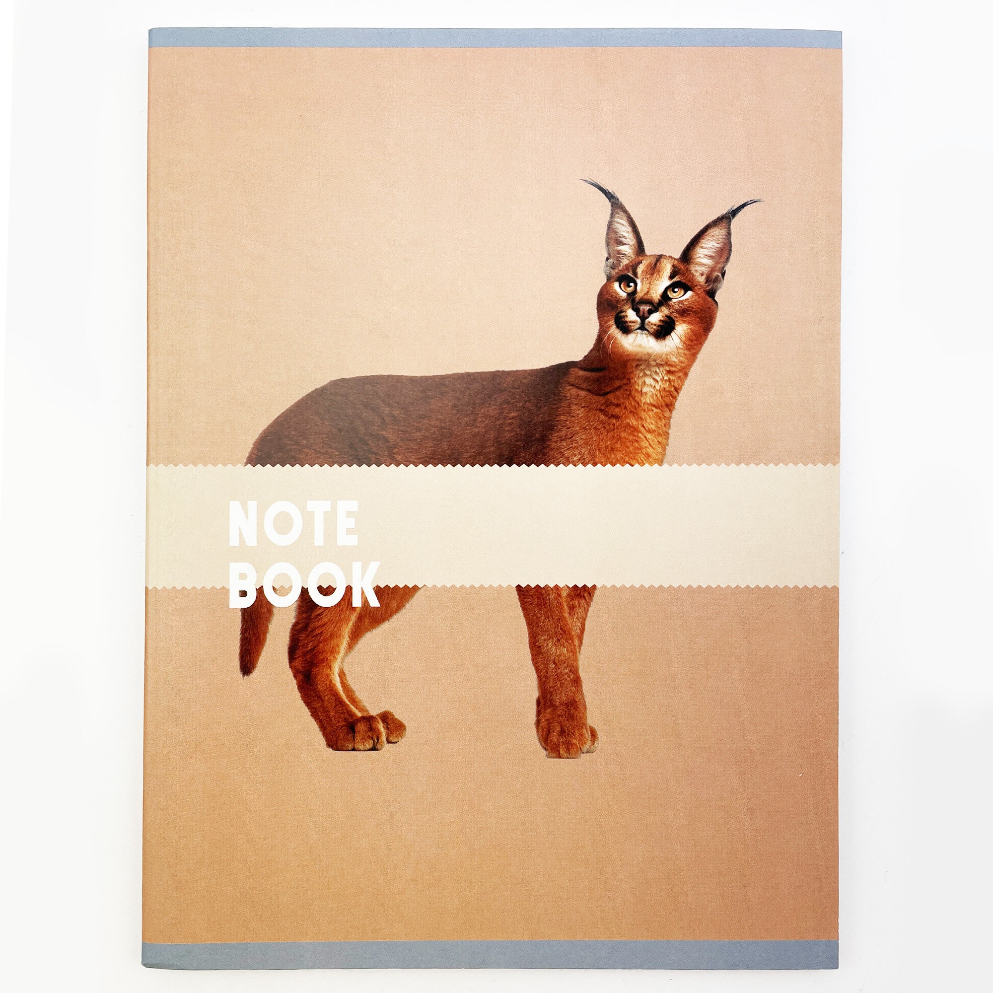 Чудесный кот – Т4804973 Чудесный кот – Т4804973