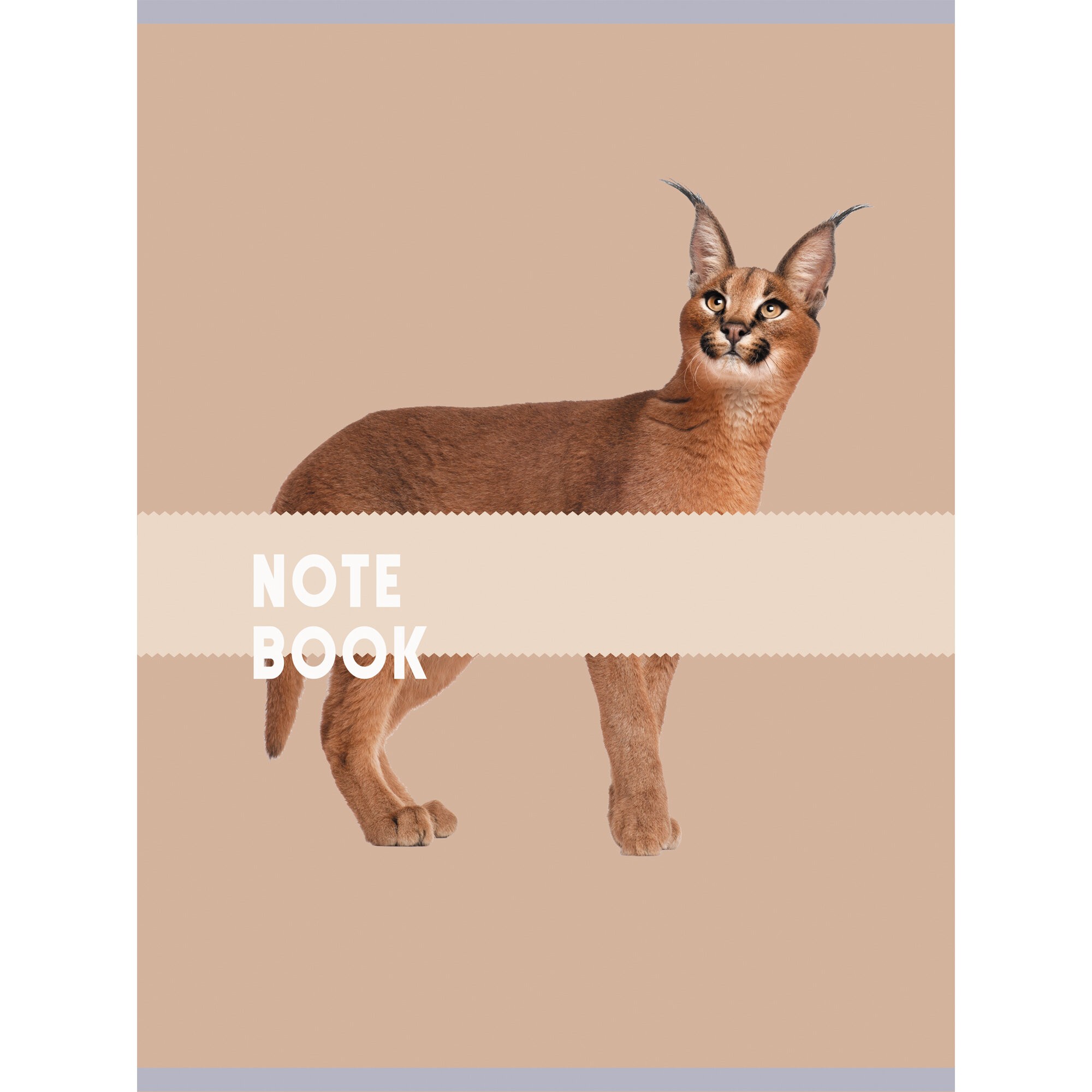 Чудесный кот – Т4804973 Чудесный кот – Т4804973