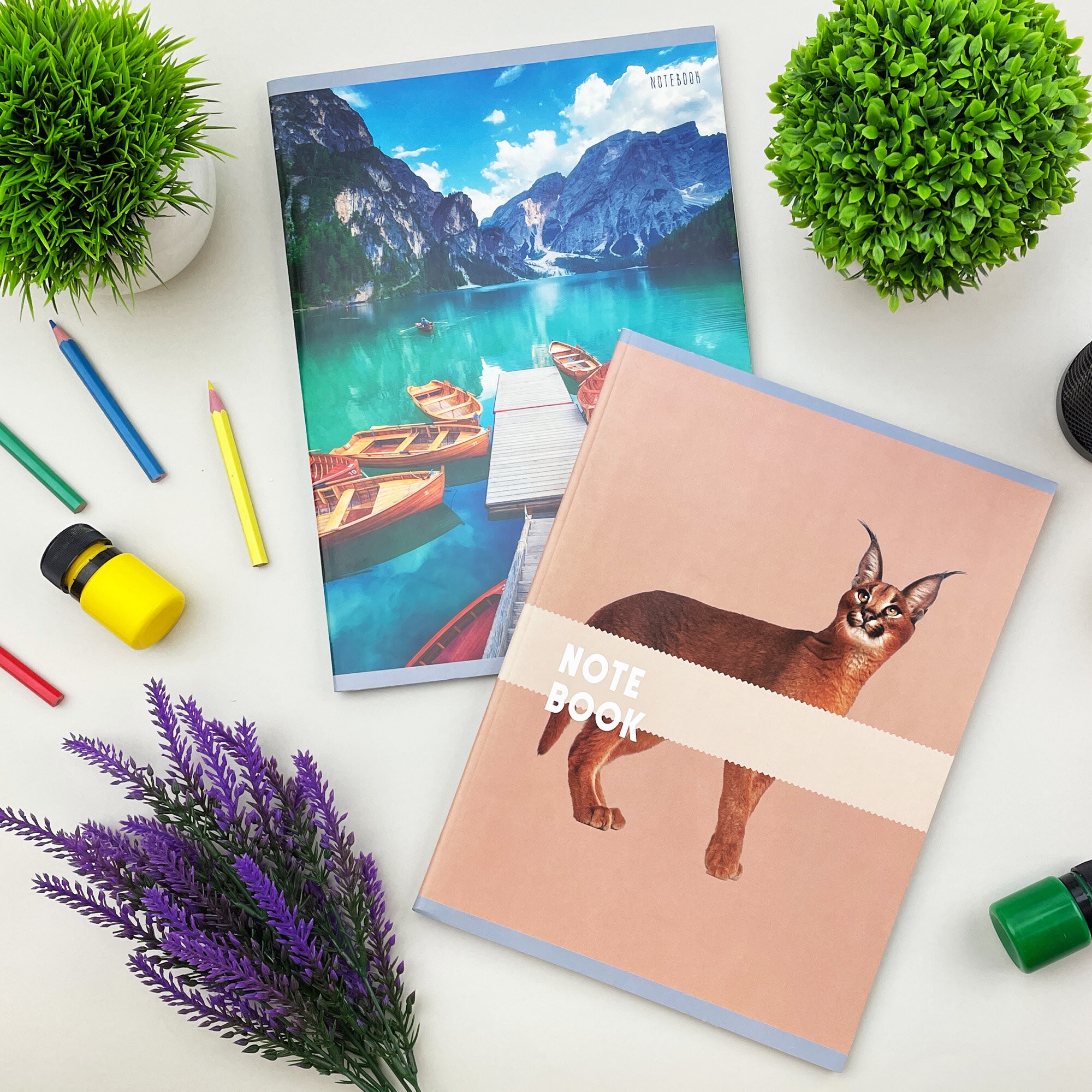 Чудесный кот – Т4804973 Чудесный кот – Т4804973