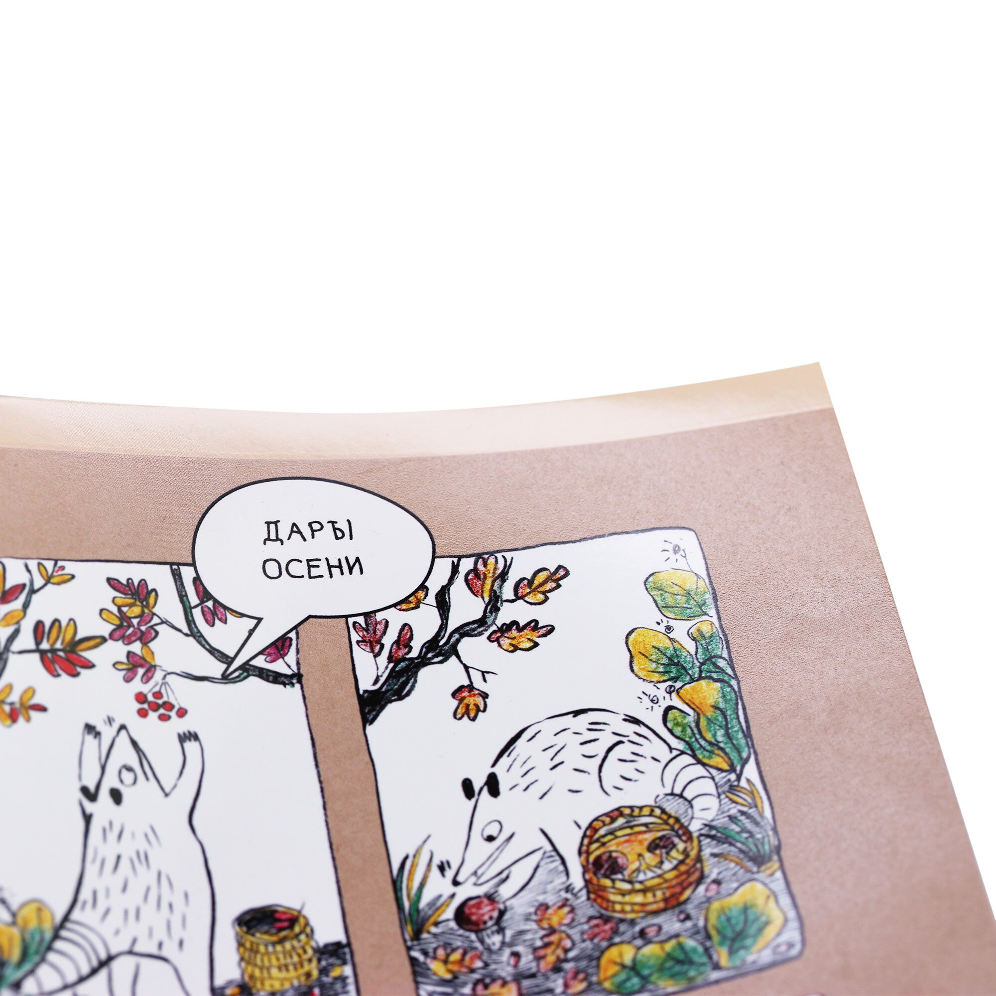 Опоссум (Эксклюзив) – ТК2Л488344 Опоссум (Эксклюзив) – ТК2Л488344