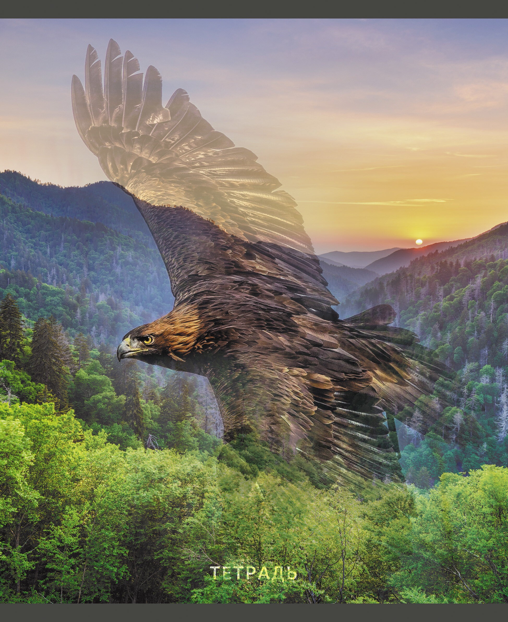 Wild life – ТЛ968389 Wild life – ТЛ968389