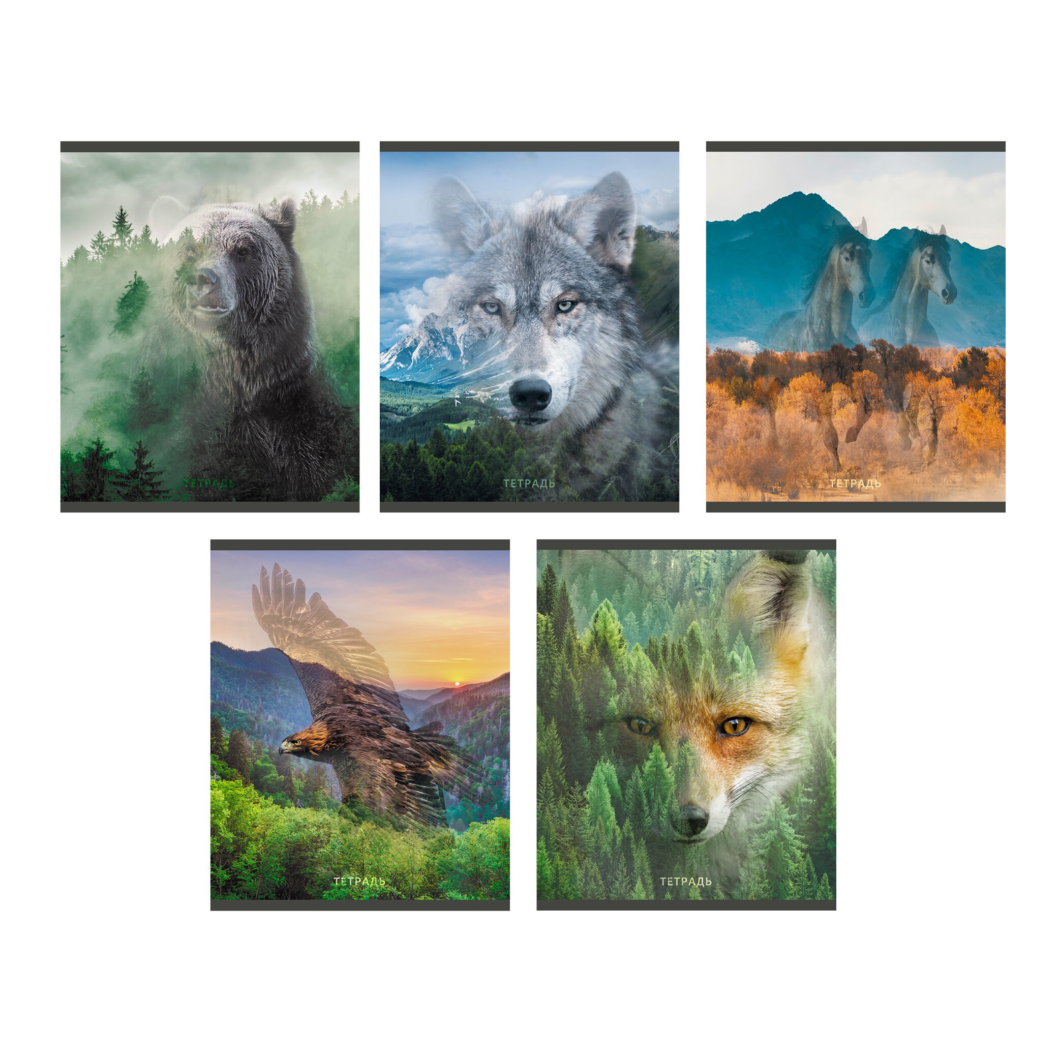 Wild life – ТЛ968389 Wild life – ТЛ968389