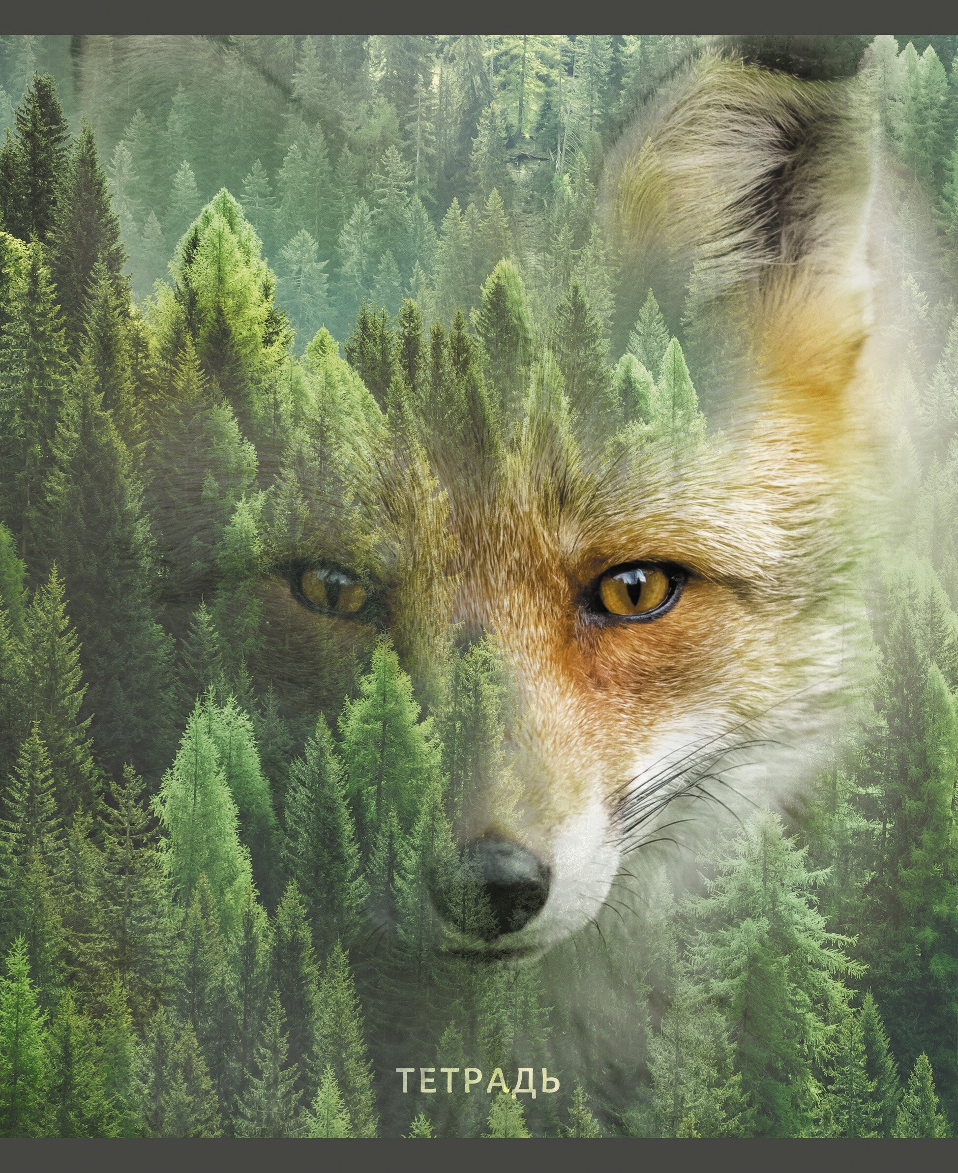 Wild life – ТЛ968389 Wild life – ТЛ968389