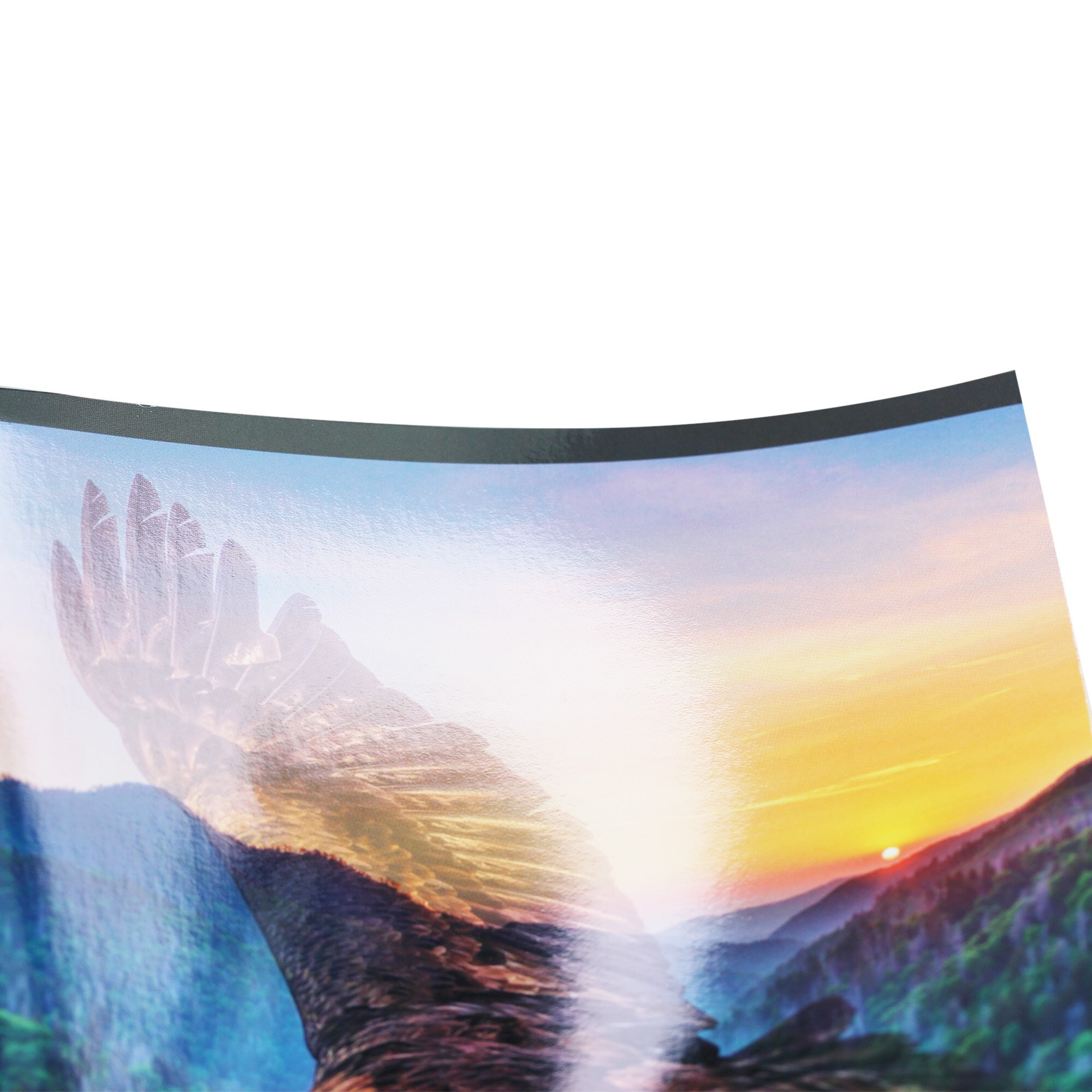 Wild life – ТЛ968389 Wild life – ТЛ968389