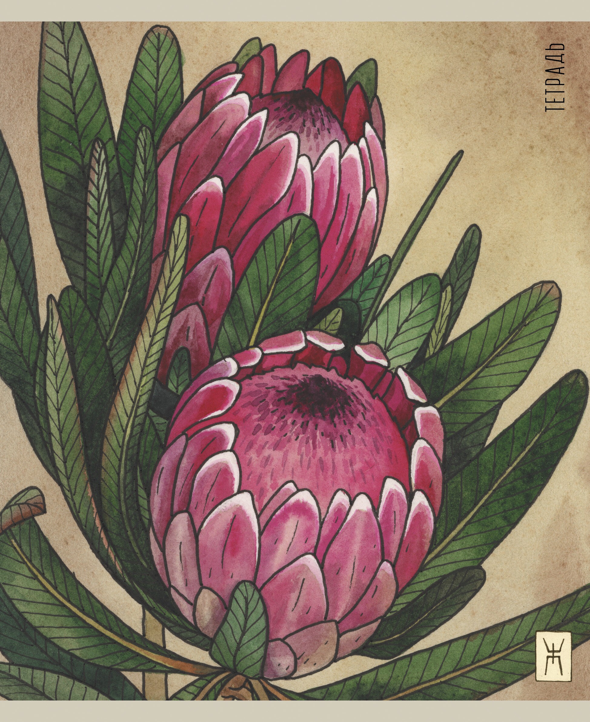 Живопись (Эксклюзив) – ТК2ЛФ488402 Живопись (Эксклюзив) – ТК2ЛФ488402