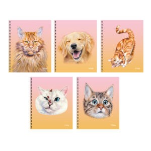 Главная страница