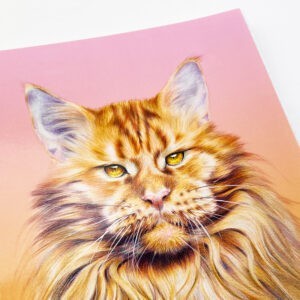 Главная страница