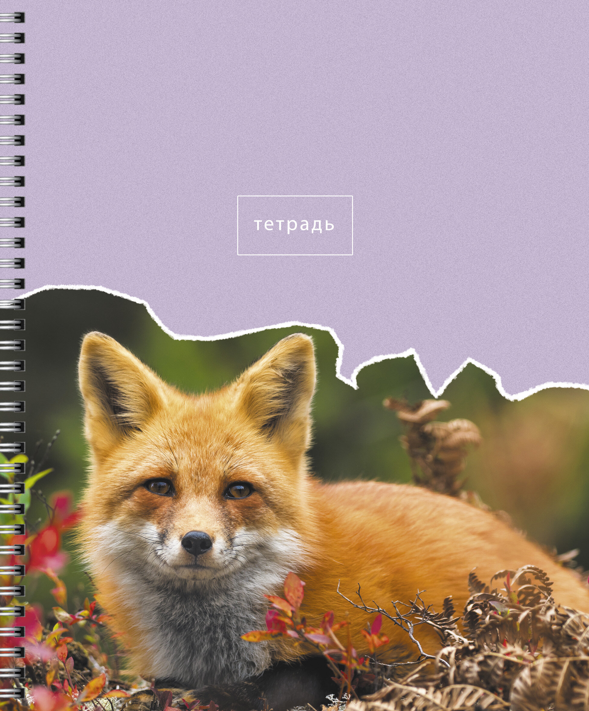 В мире животных – ТСЛ808446 В мире животных – ТСЛ808446