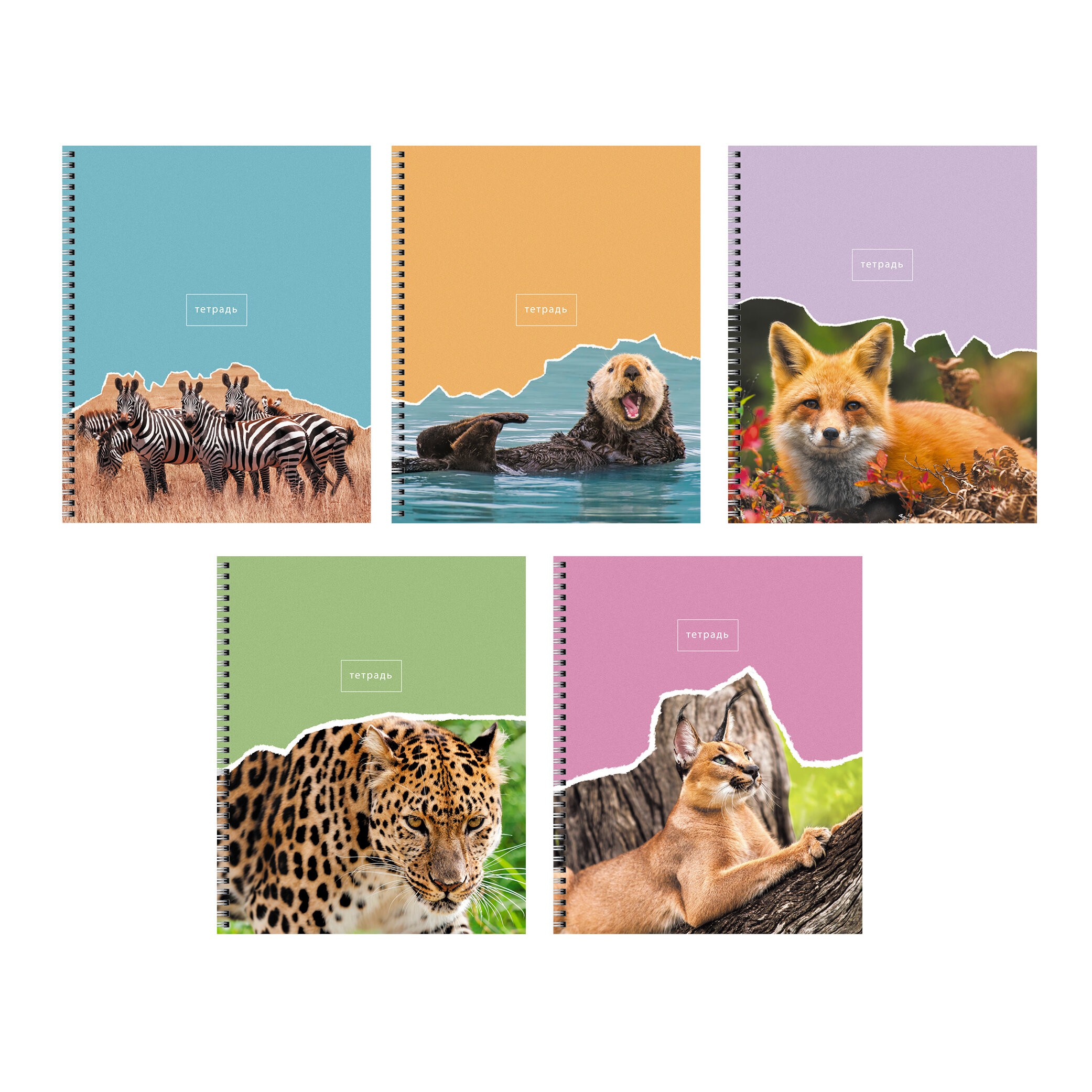 В мире животных – ТСЛ808446 В мире животных – ТСЛ808446