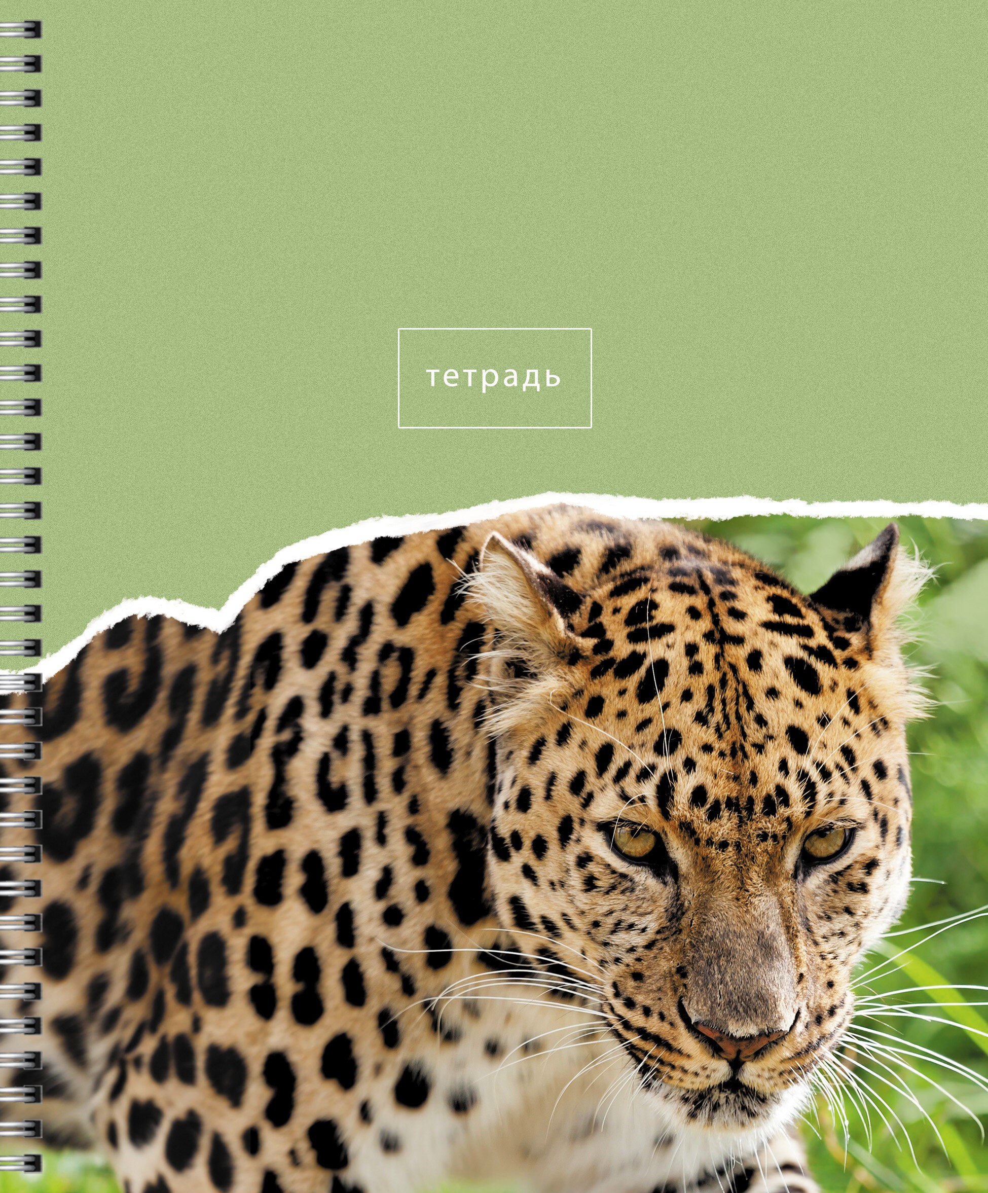 В мире животных – ТСЛ808446 В мире животных – ТСЛ808446