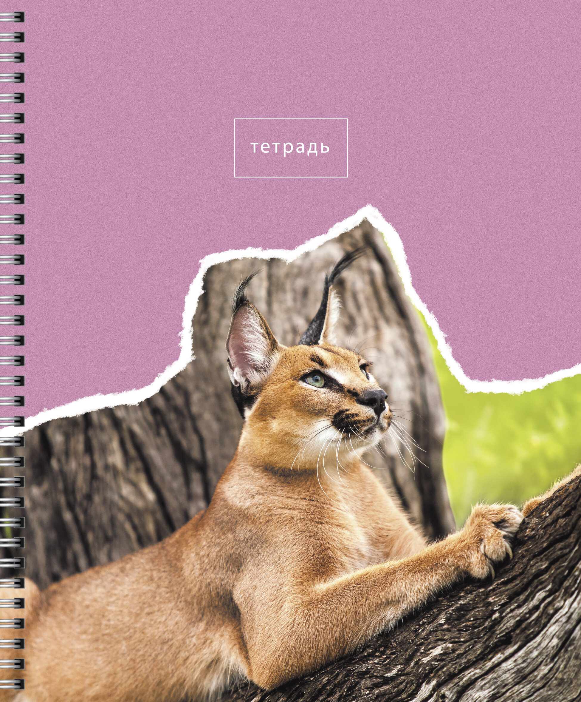 В мире животных – ТСЛ808446 В мире животных – ТСЛ808446