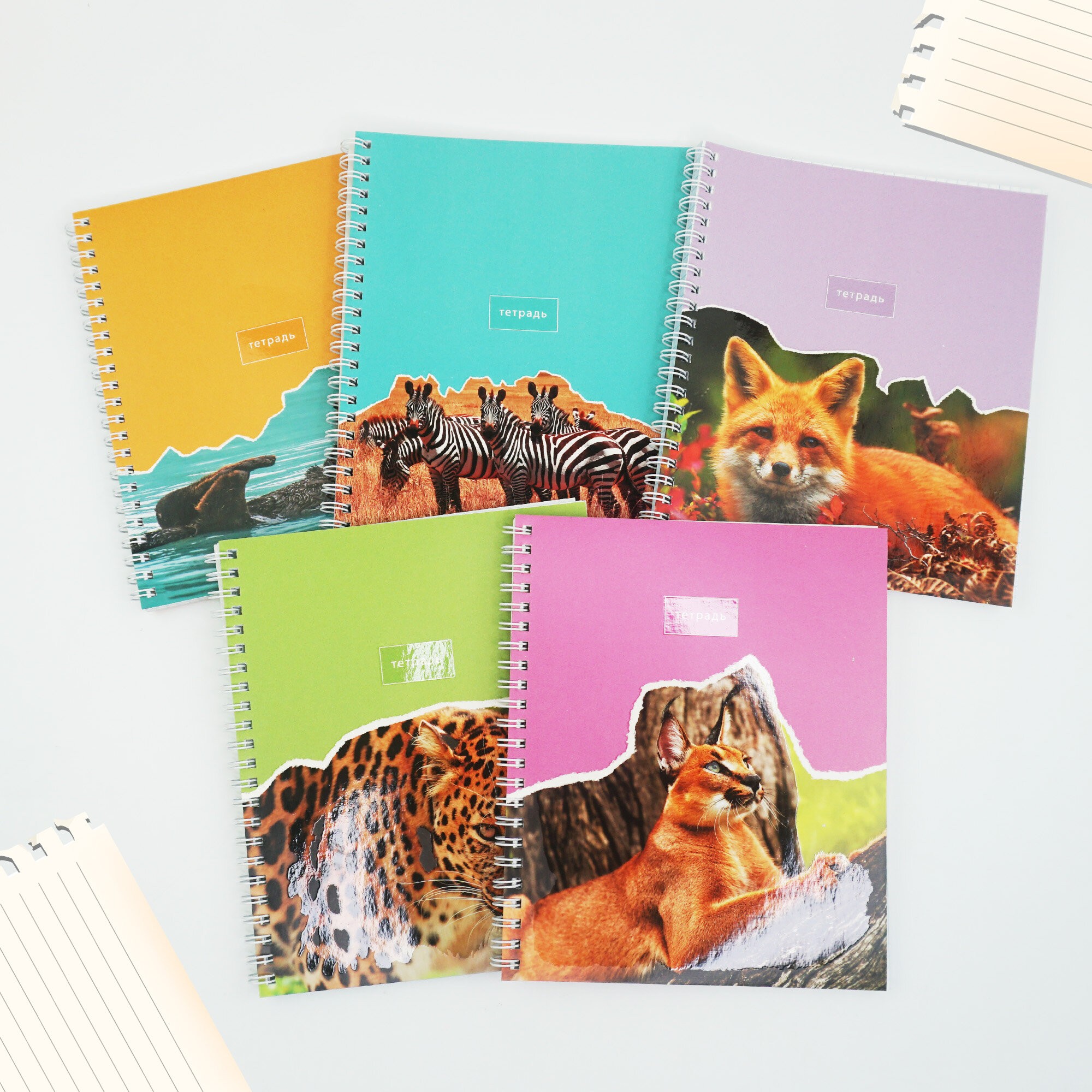 В мире животных – ТСЛ808446 В мире животных – ТСЛ808446