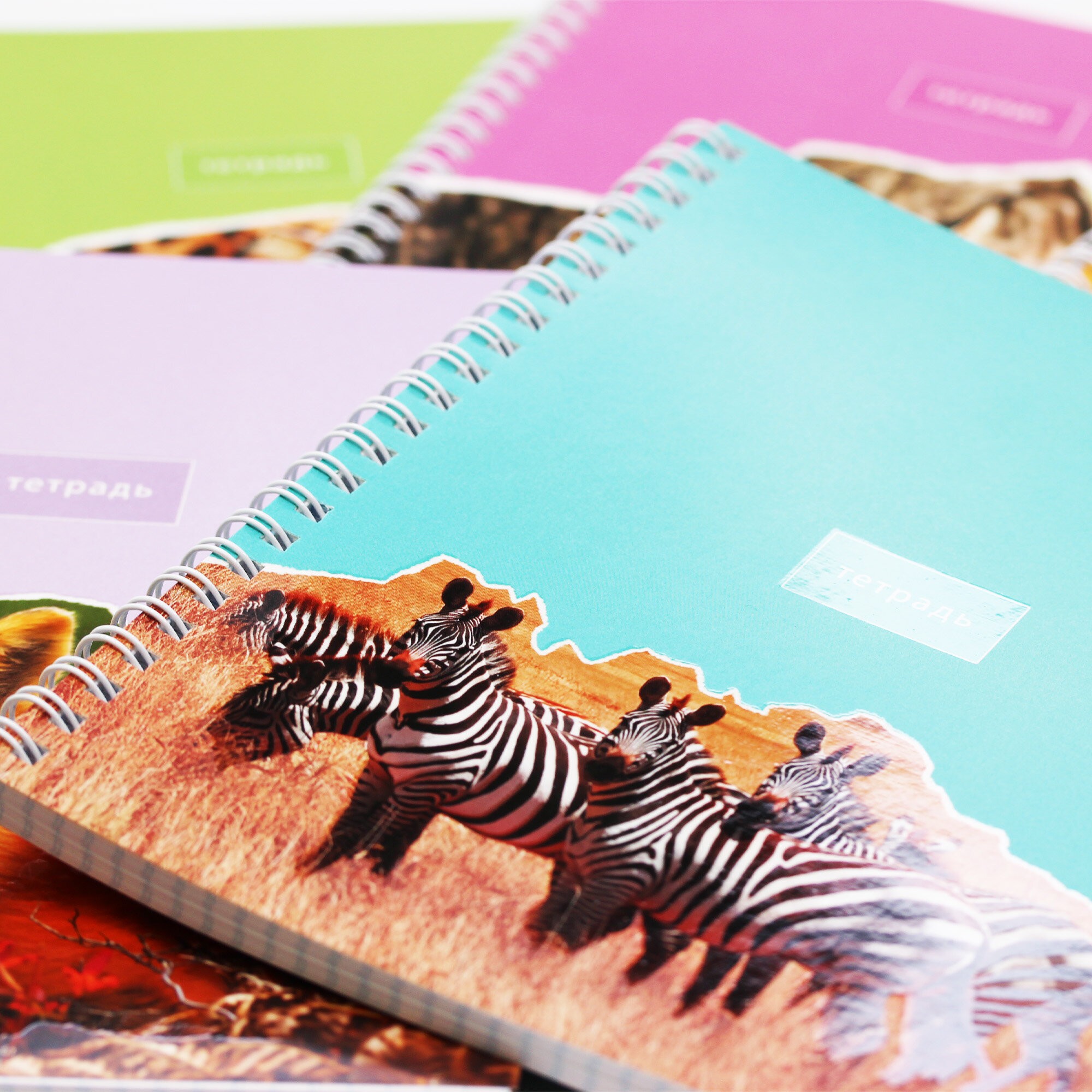 В мире животных – ТСЛ808446 В мире животных – ТСЛ808446