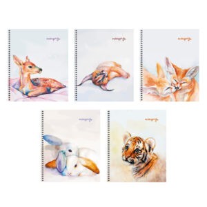 Главная страница