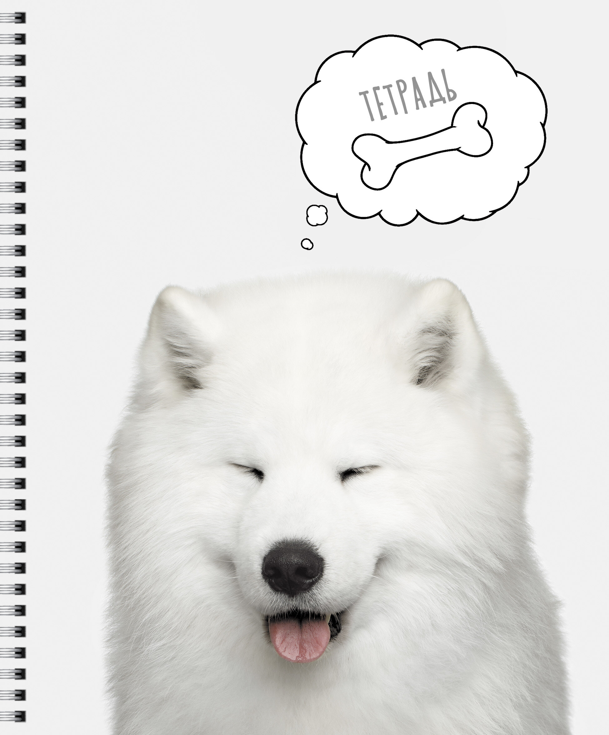 Selfie dog – ТС2Л488452 Selfie dog – ТС2Л488452