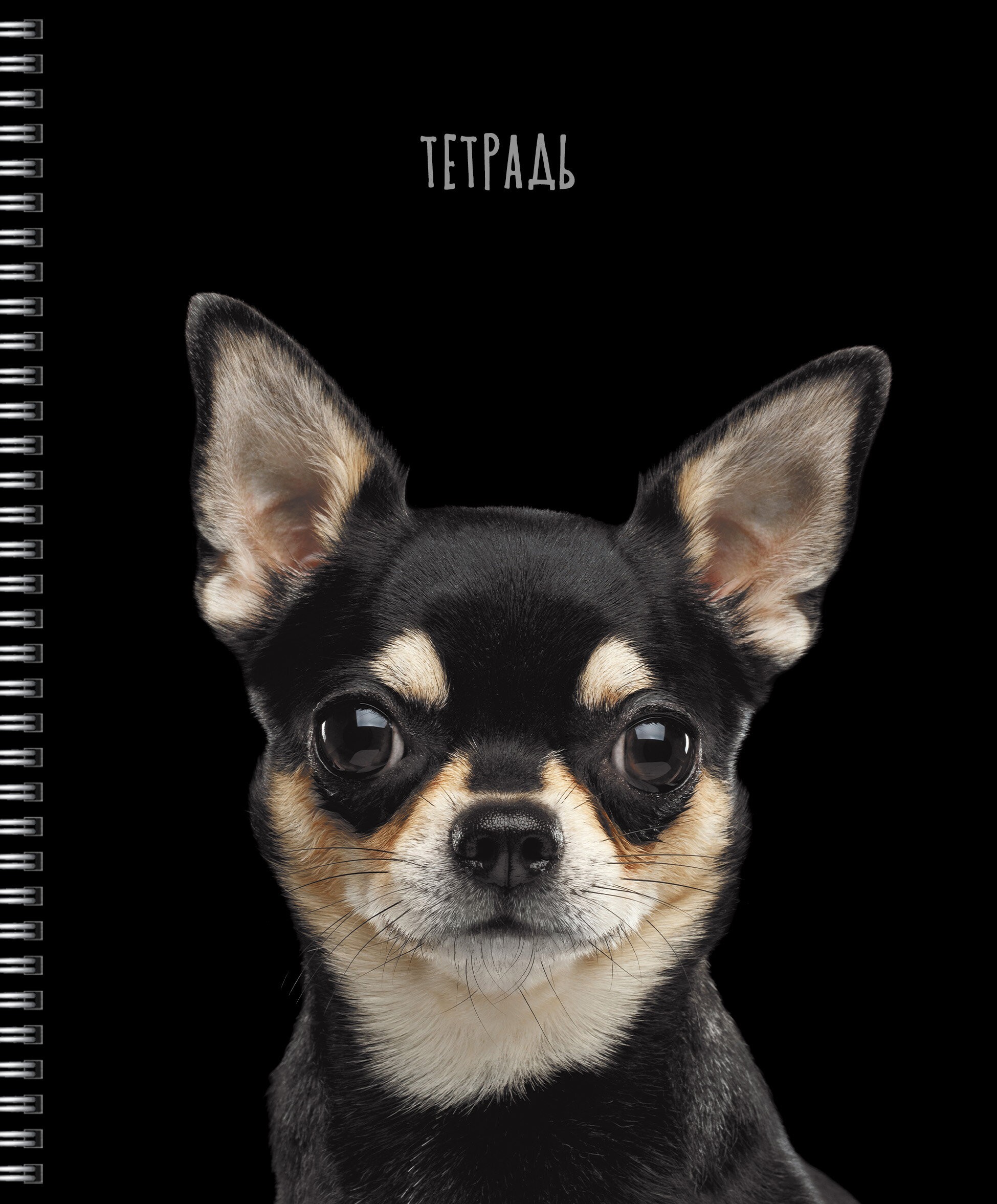 Selfie dog – ТС2Л488452 Selfie dog – ТС2Л488452