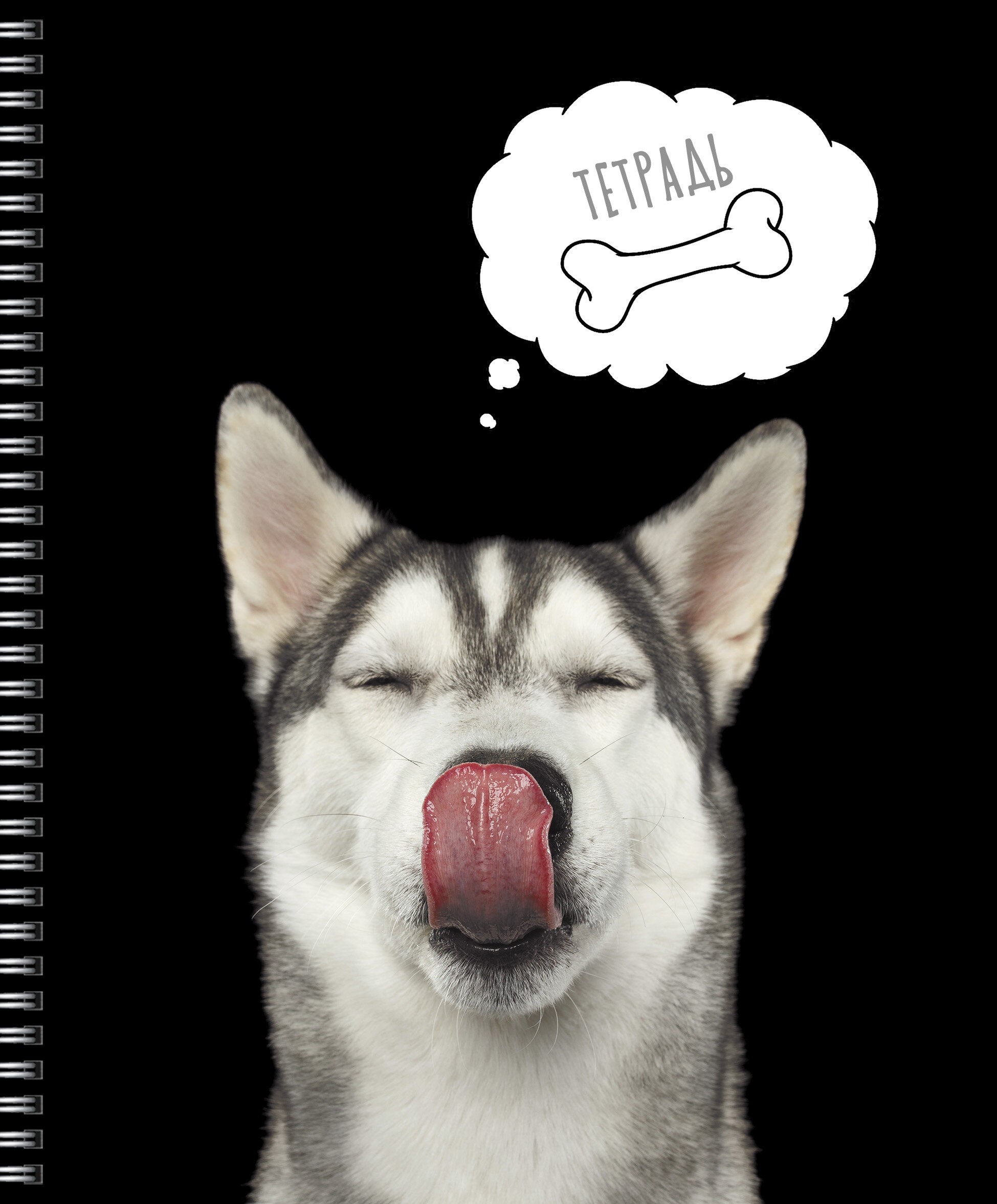 Selfie dog – ТС2Л488452 Selfie dog – ТС2Л488452