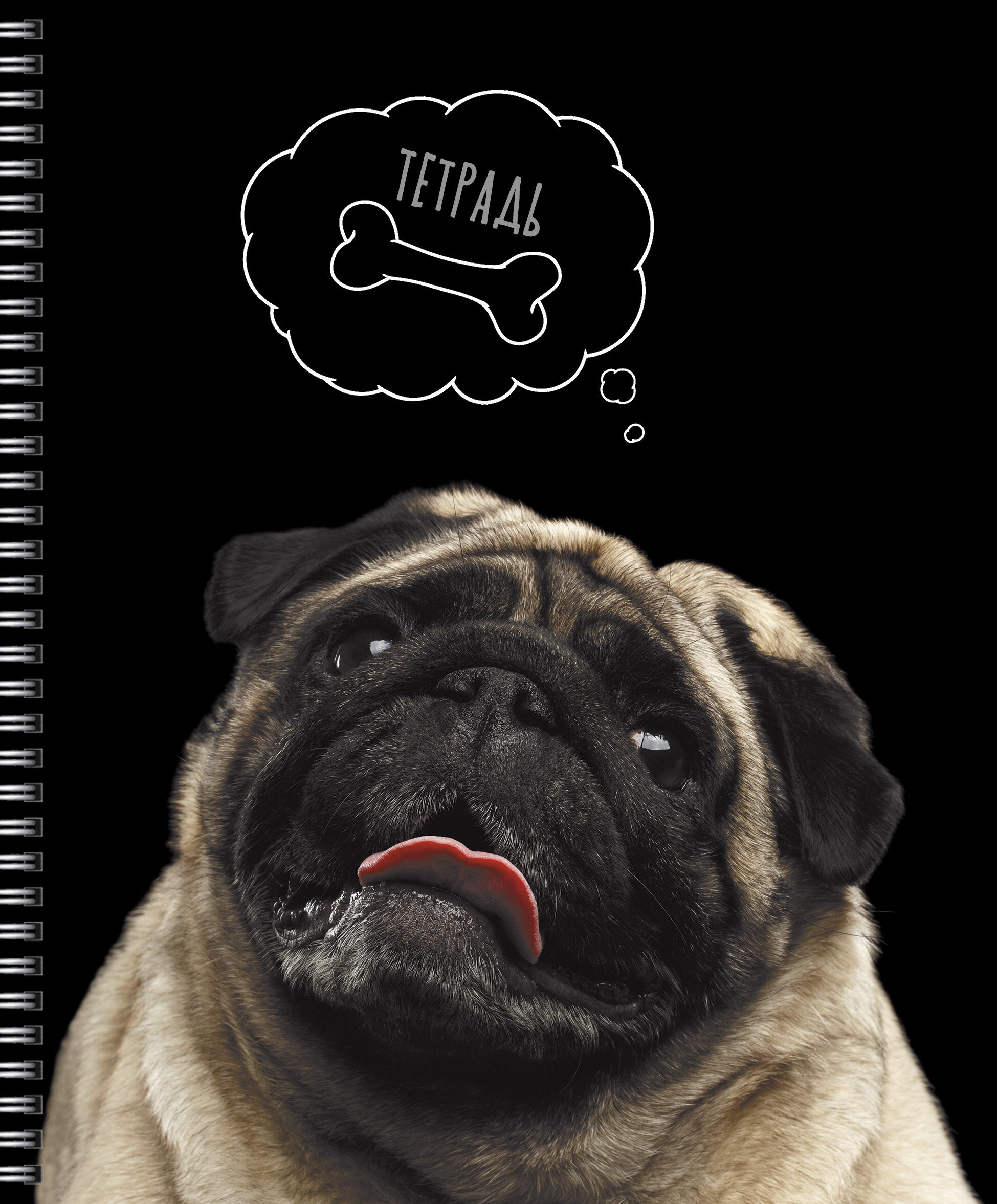 Selfie dog – ТС2Л488452 Selfie dog – ТС2Л488452