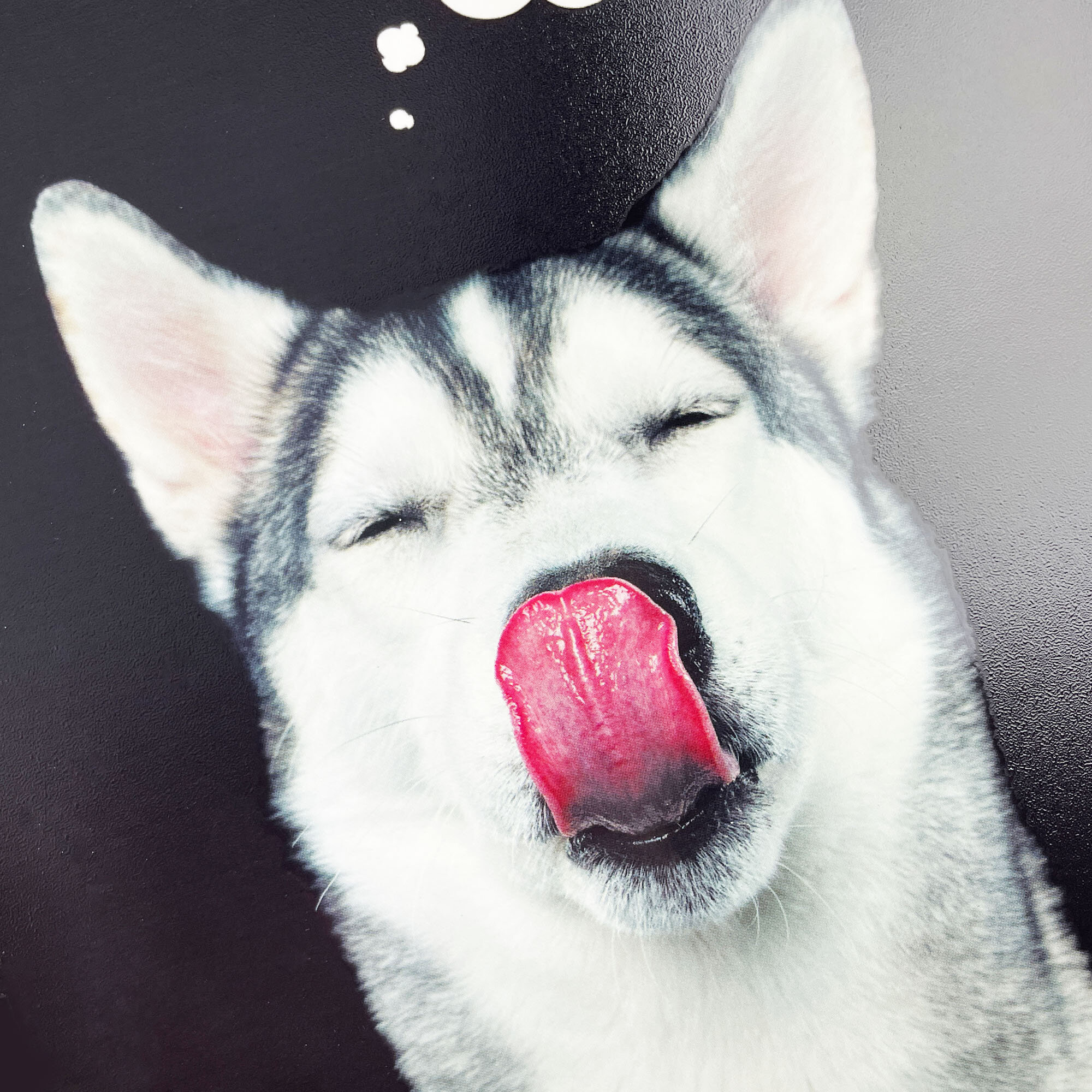 Selfie dog – ТС2Л488452 Selfie dog – ТС2Л488452