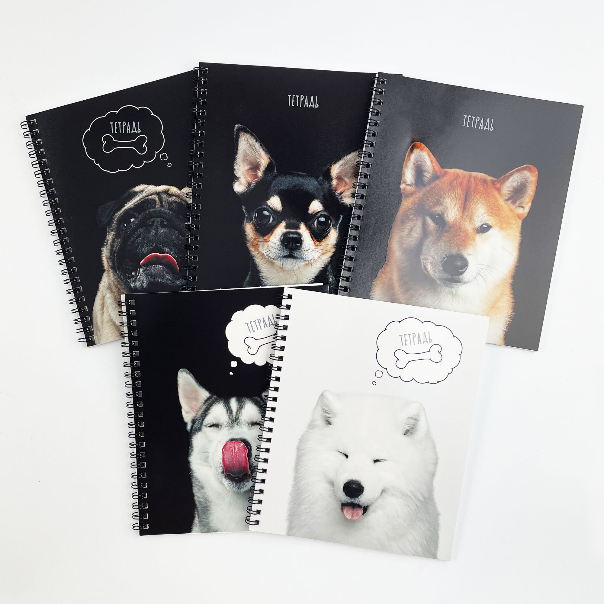 Selfie dog – ТС2Л488452 Selfie dog – ТС2Л488452