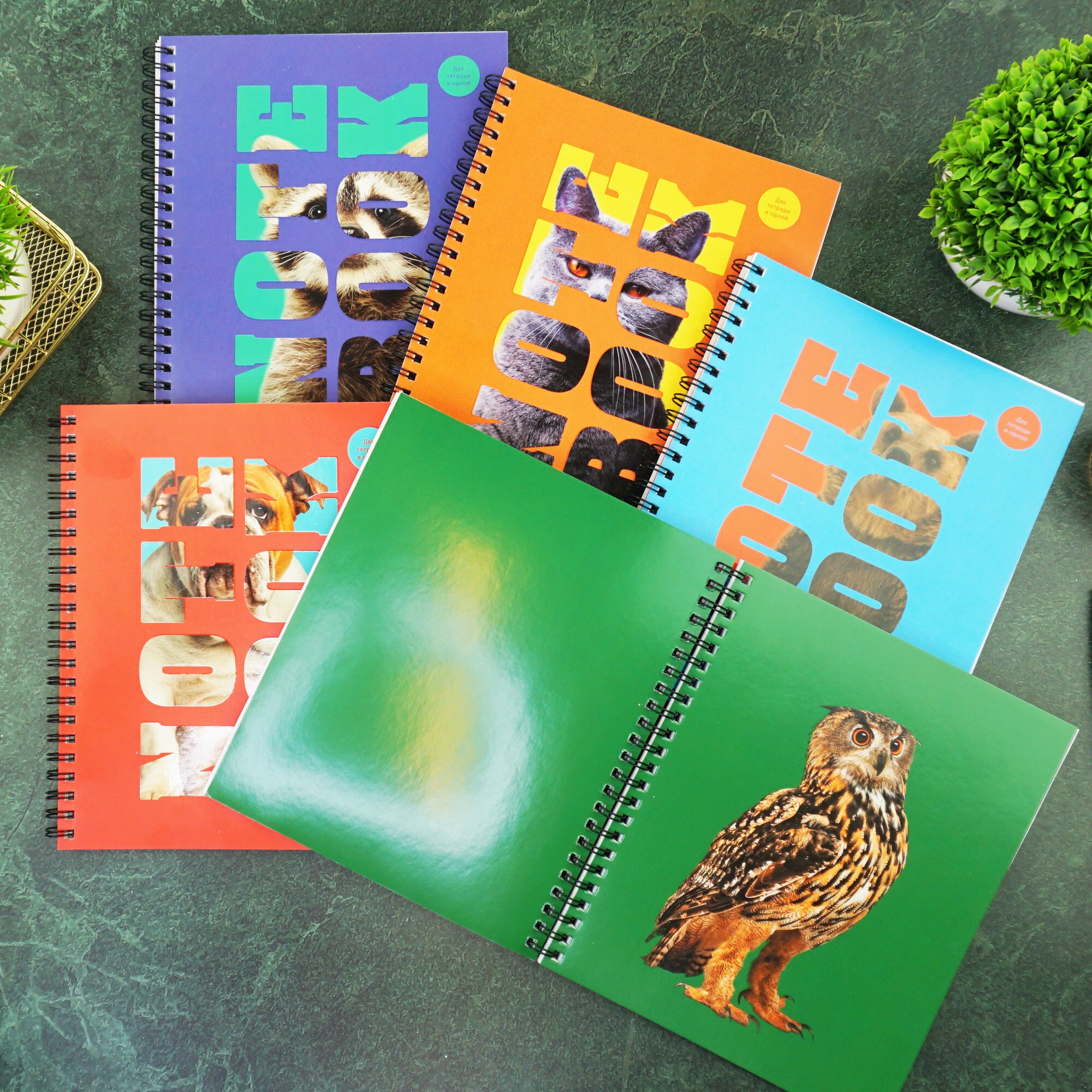 Зоо микс – ТСЛ968465 Зоо микс – ТСЛ968465