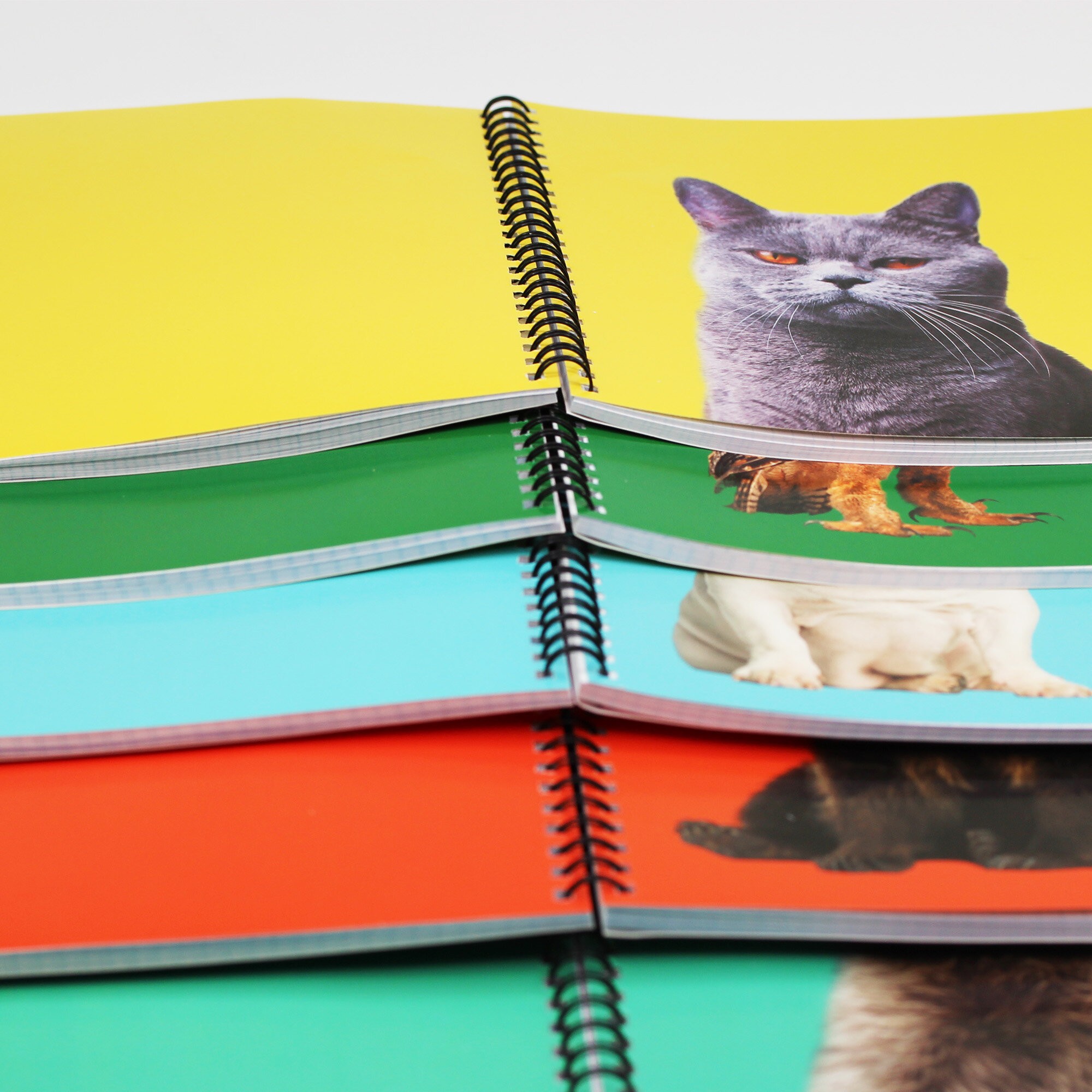 Зоо микс – ТСЛ968465 Зоо микс – ТСЛ968465