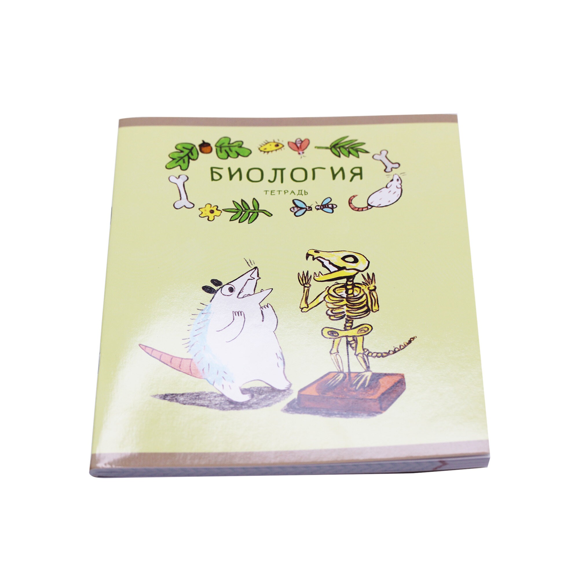 Лучший опоссум в мире. Биология – ТТ488506 Лучший опоссум в мире. Биология – ТТ488506