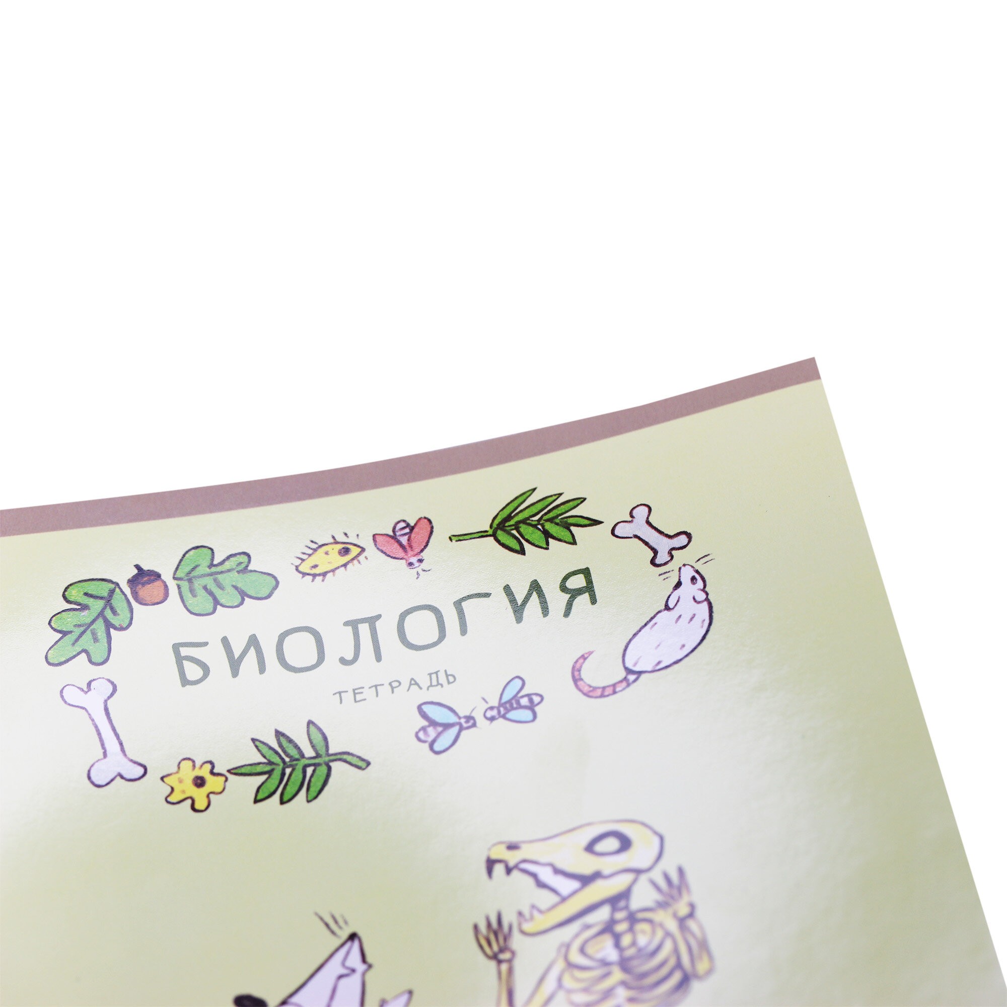 Лучший опоссум в мире. Биология – ТТ488506 Лучший опоссум в мире. Биология – ТТ488506