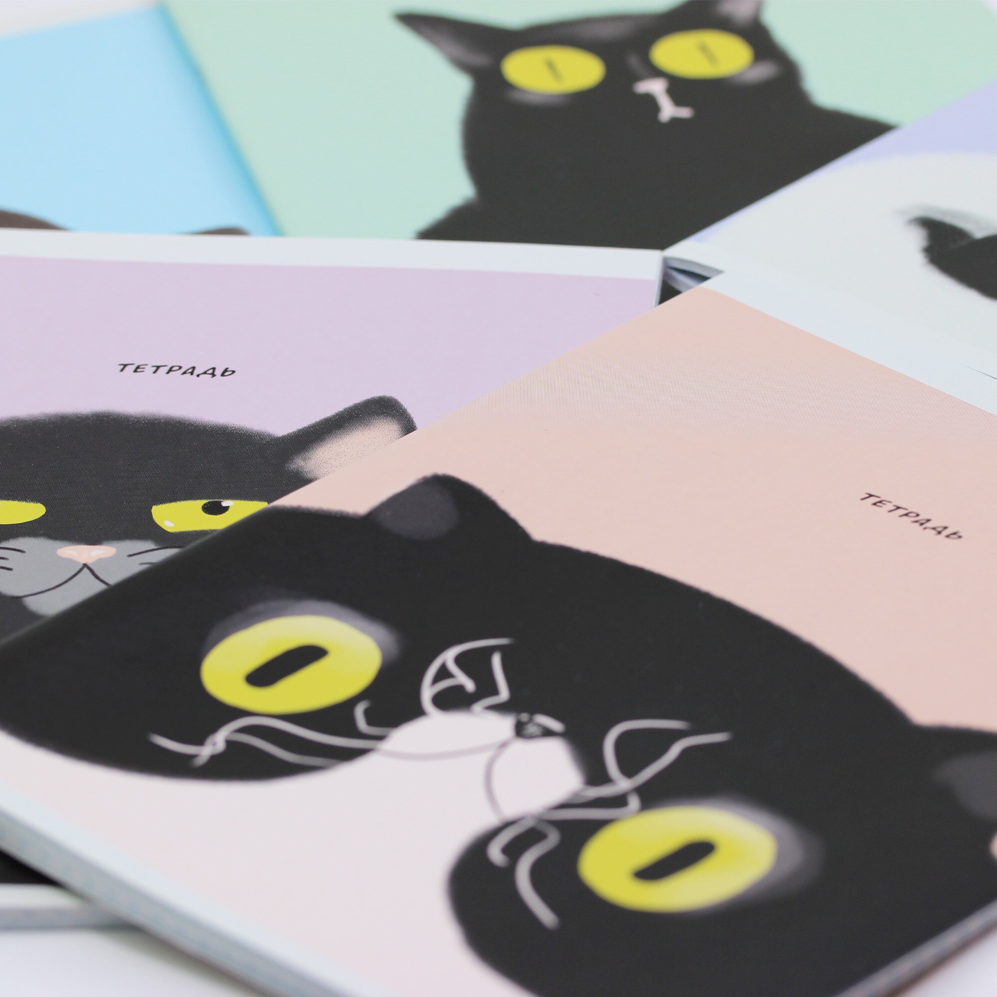 Коты (Эксклюзив) – ТК408316 Коты (Эксклюзив) – ТК408316