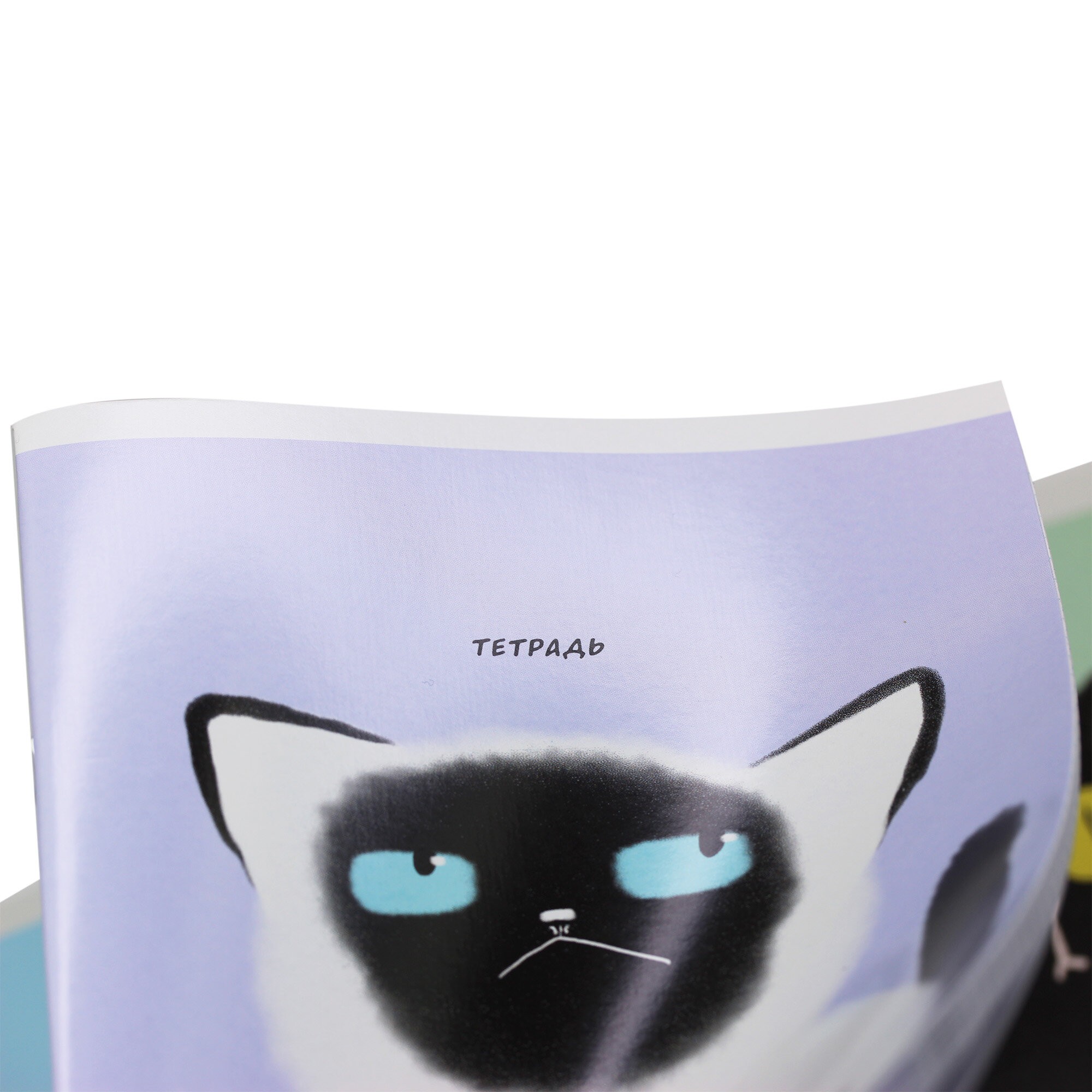 Коты (Эксклюзив) – ТК408316 Коты (Эксклюзив) – ТК408316