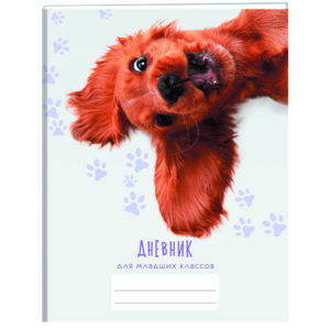 Главная страница