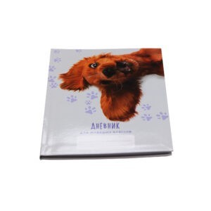 Главная страница