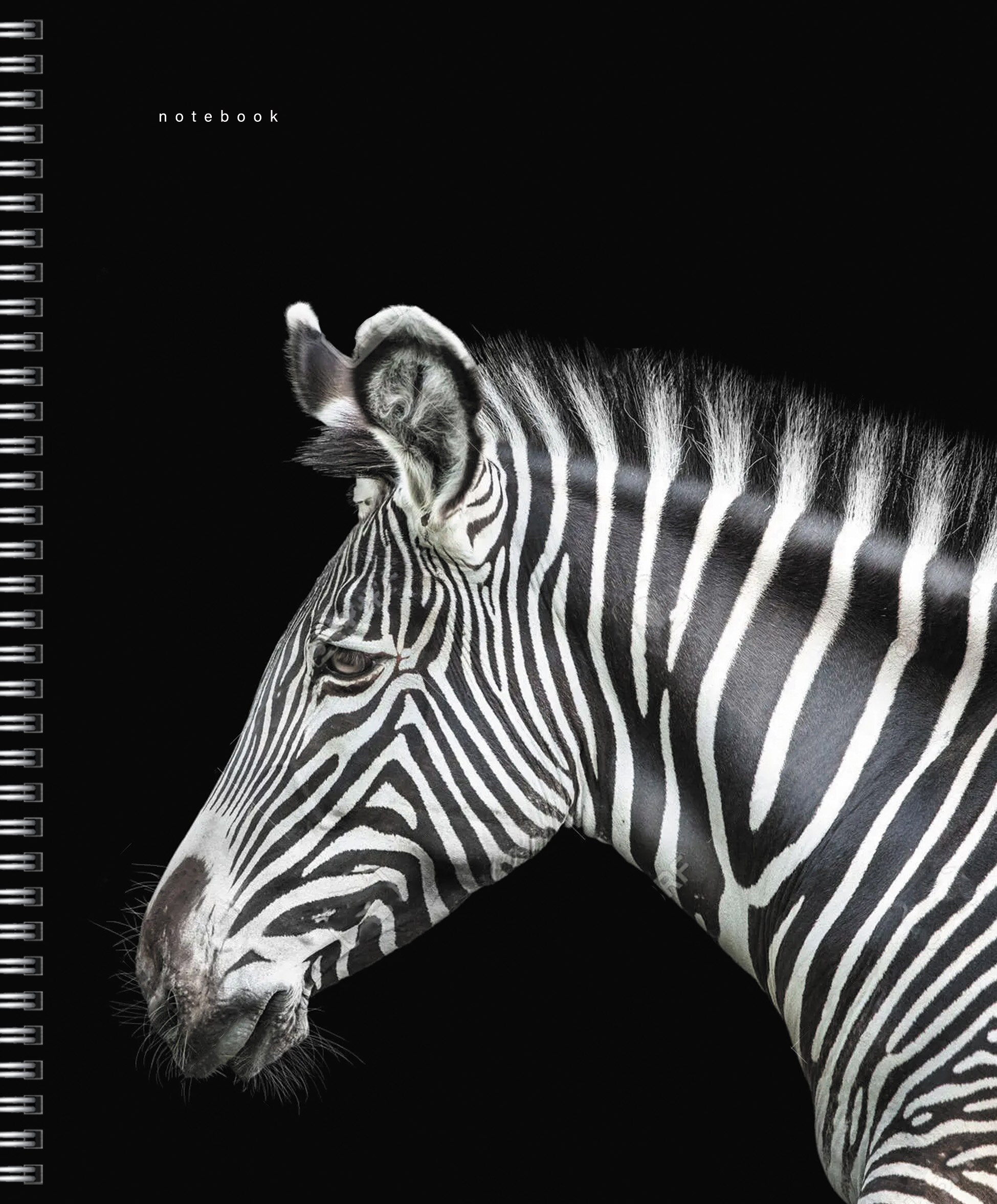 Прекрасные создания – ТСФ968547 Прекрасные создания – ТСФ968547