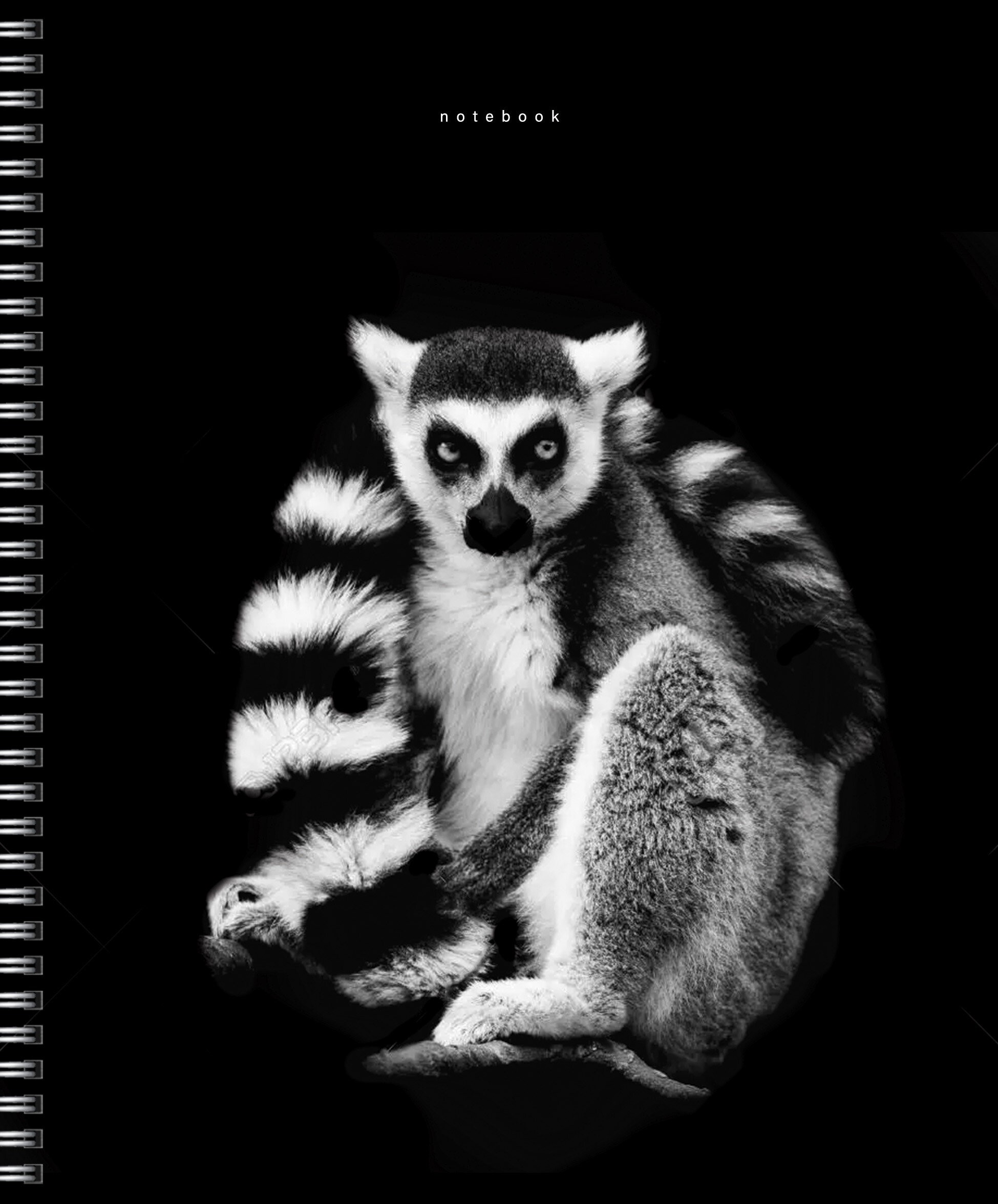 Прекрасные создания – ТСФ968547 Прекрасные создания – ТСФ968547