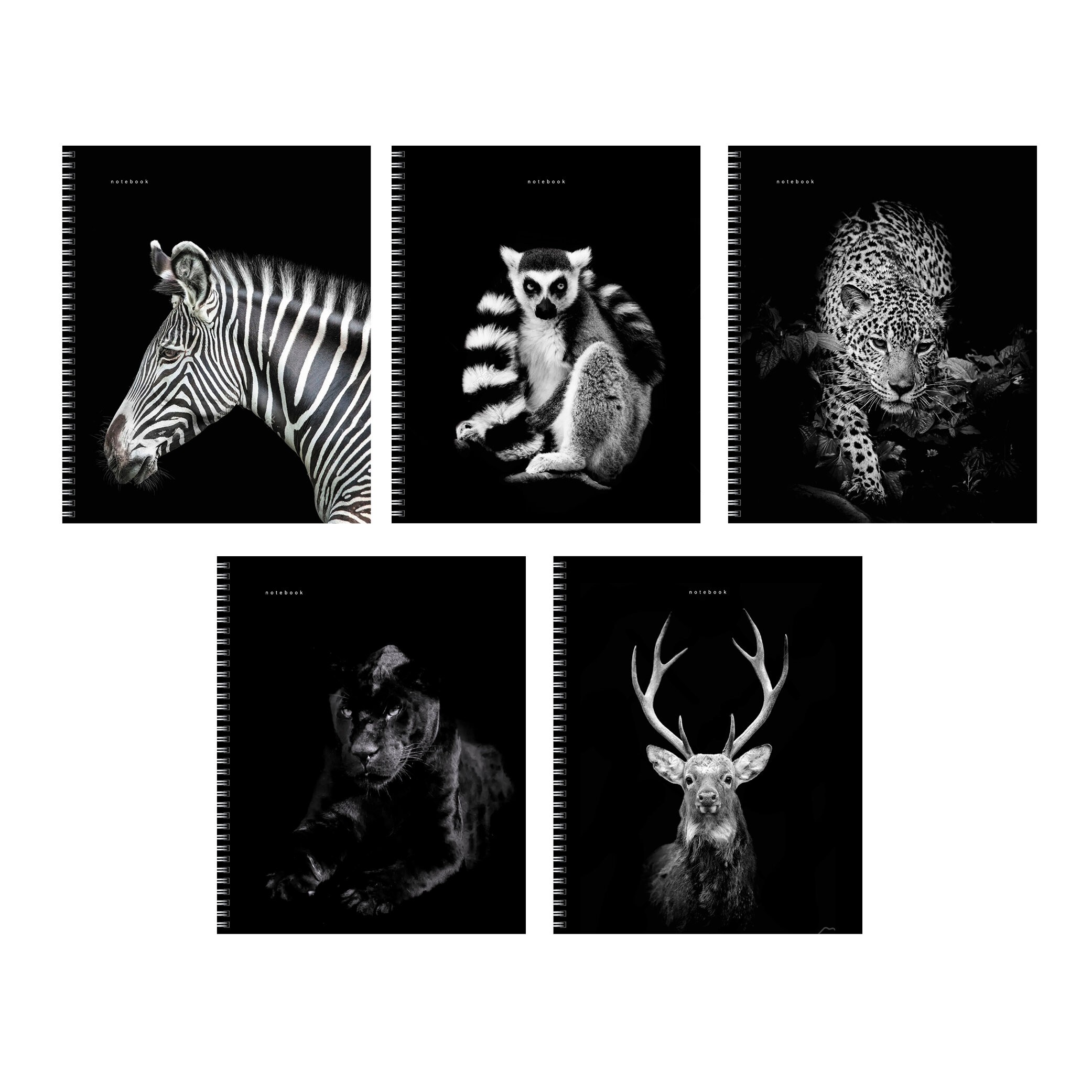 Прекрасные создания – ТСФ968547 Прекрасные создания – ТСФ968547