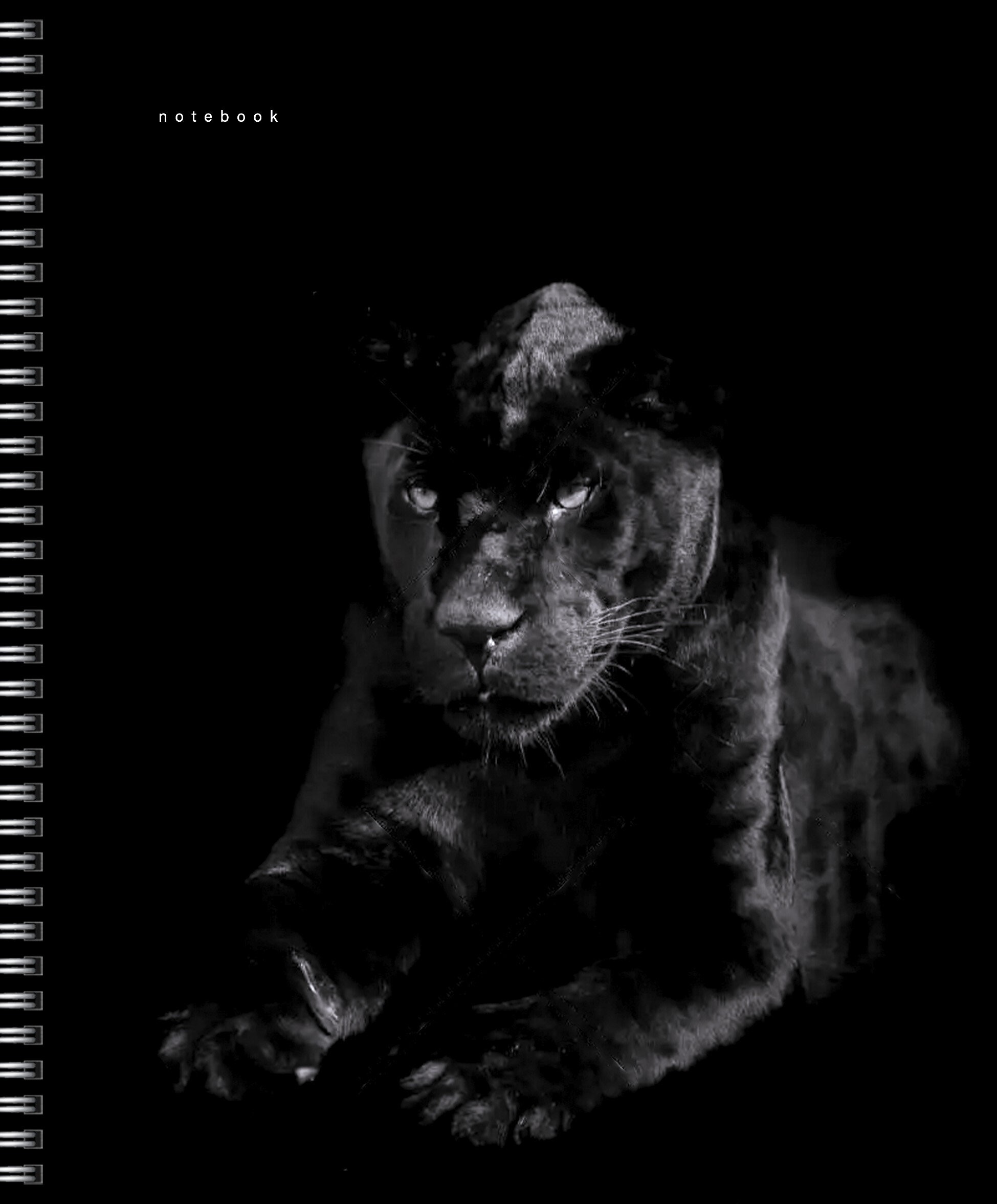 Прекрасные создания – ТСФ968547 Прекрасные создания – ТСФ968547