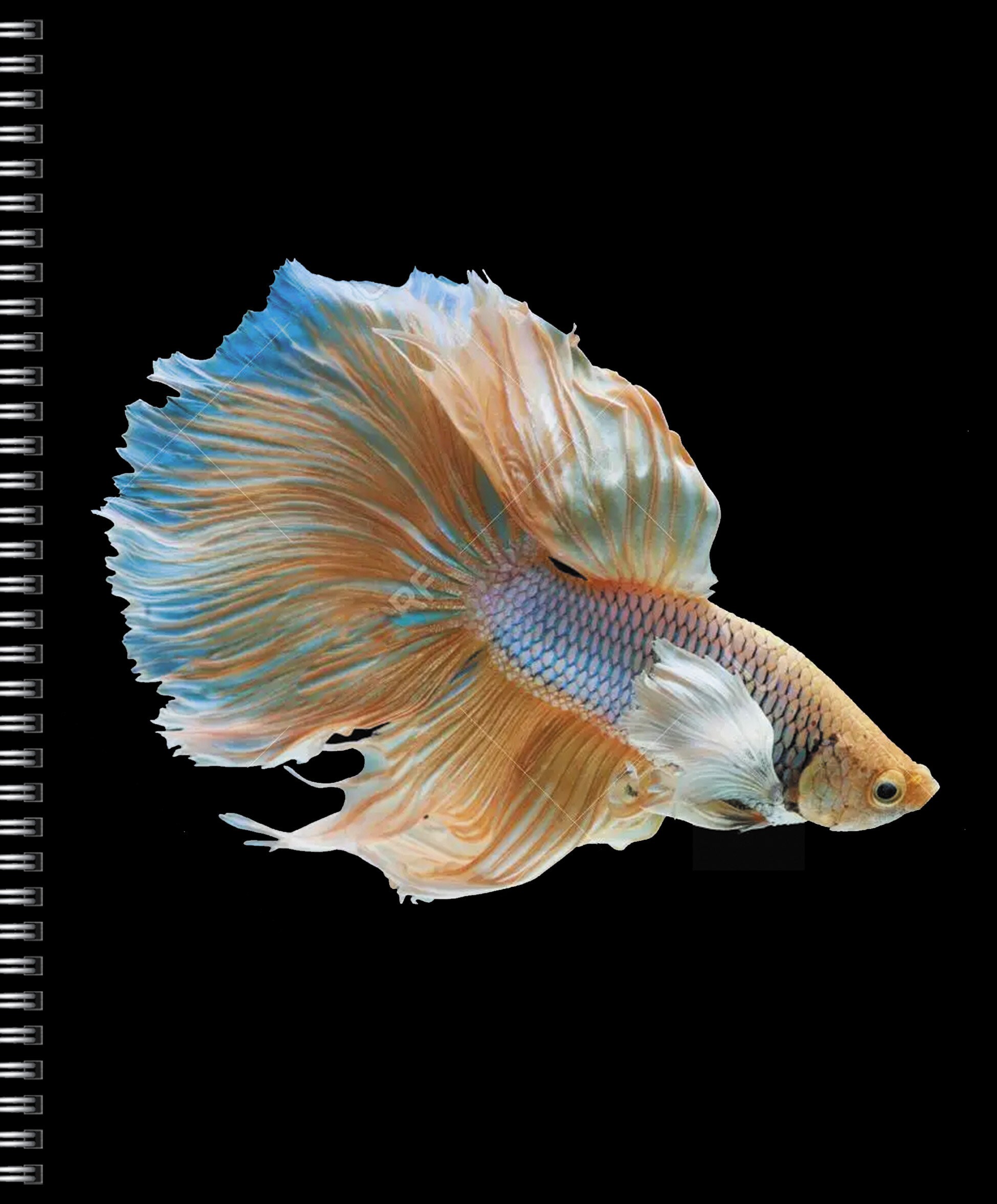 На контрасте – ТС968552 На контрасте – ТС968552