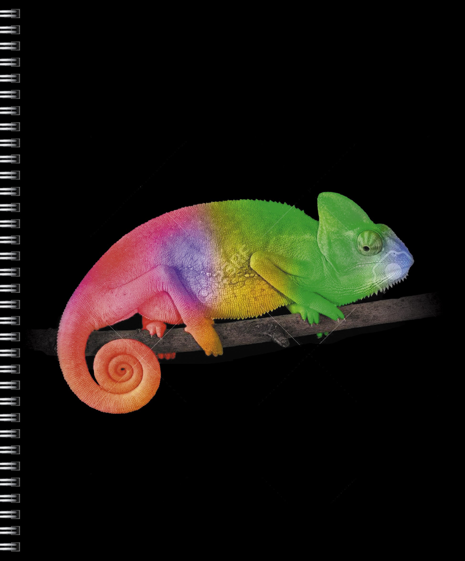 На контрасте – ТС968552 На контрасте – ТС968552