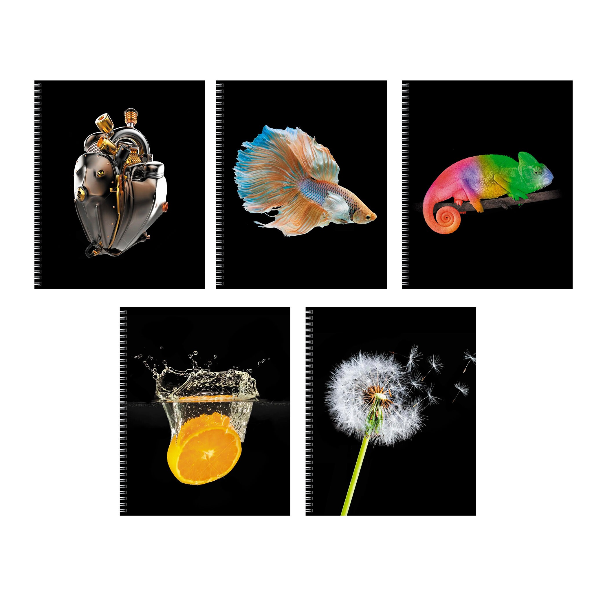 На контрасте – ТС968552 На контрасте – ТС968552